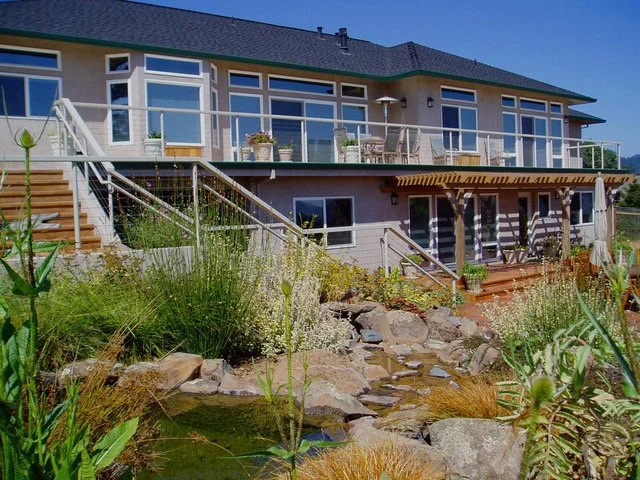 Sheldon back (1).jpeg