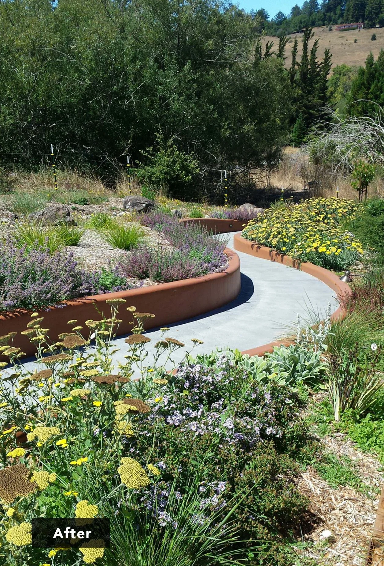 The completed ramp transforms and revitalizes the previously neglected side garden.