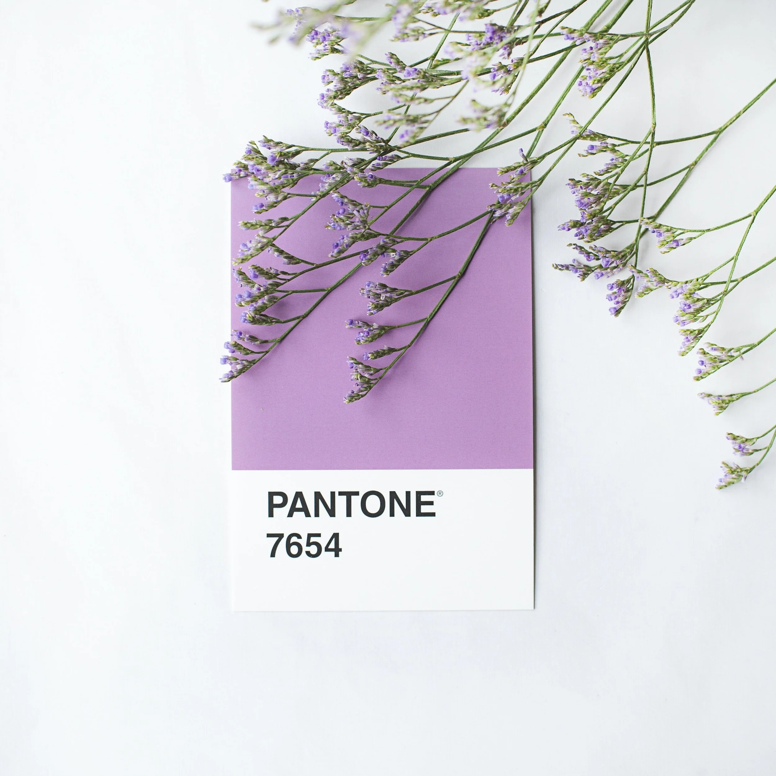The Most Popular Wedding Colors of 2023