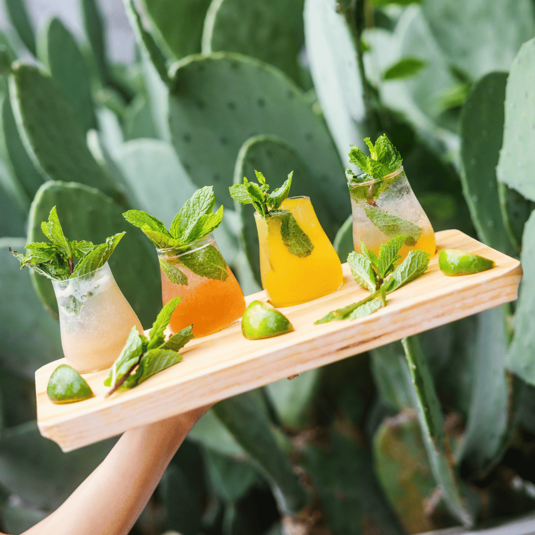 mojito flight