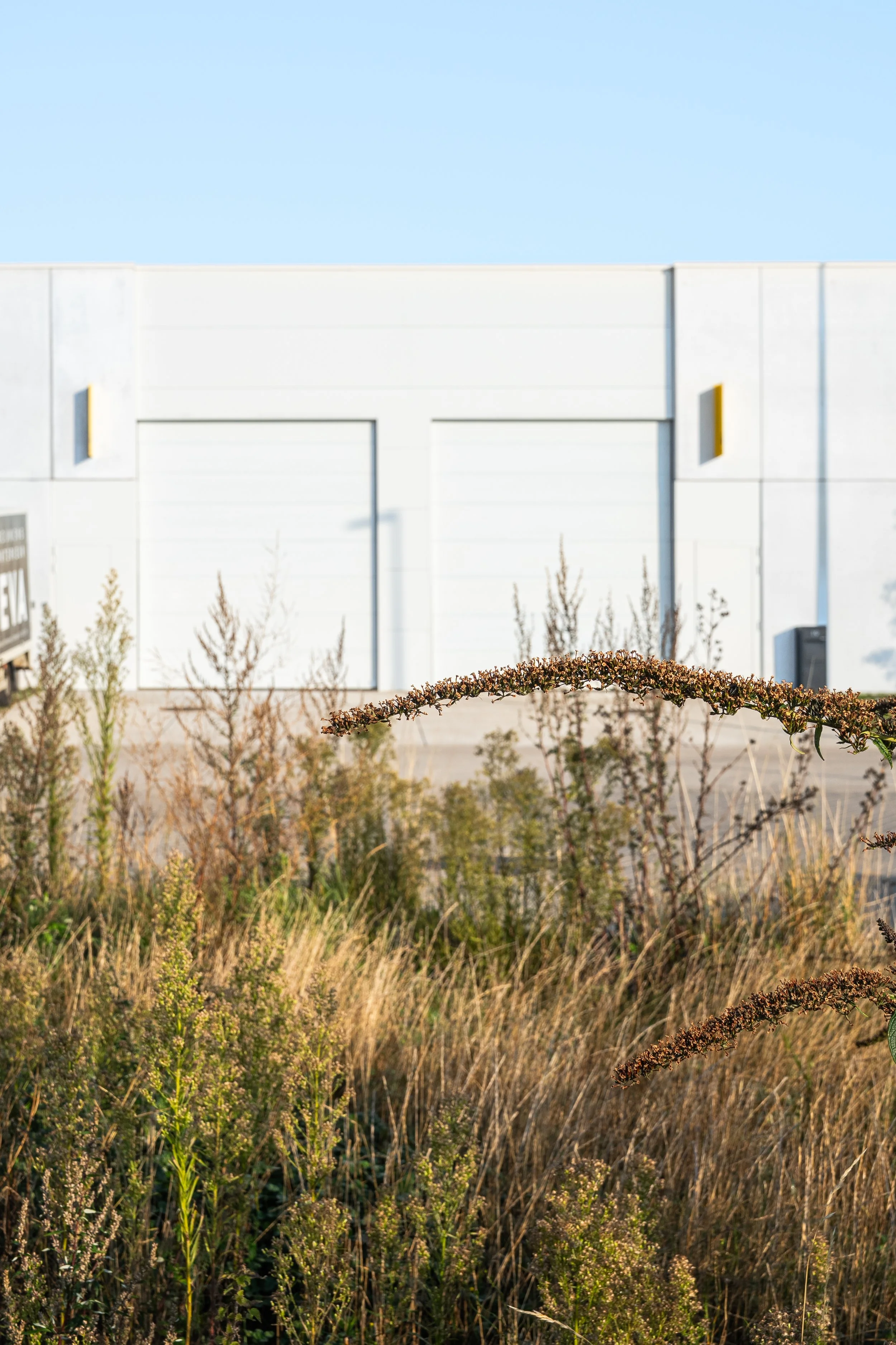 De Stip - Goedefroo Architects