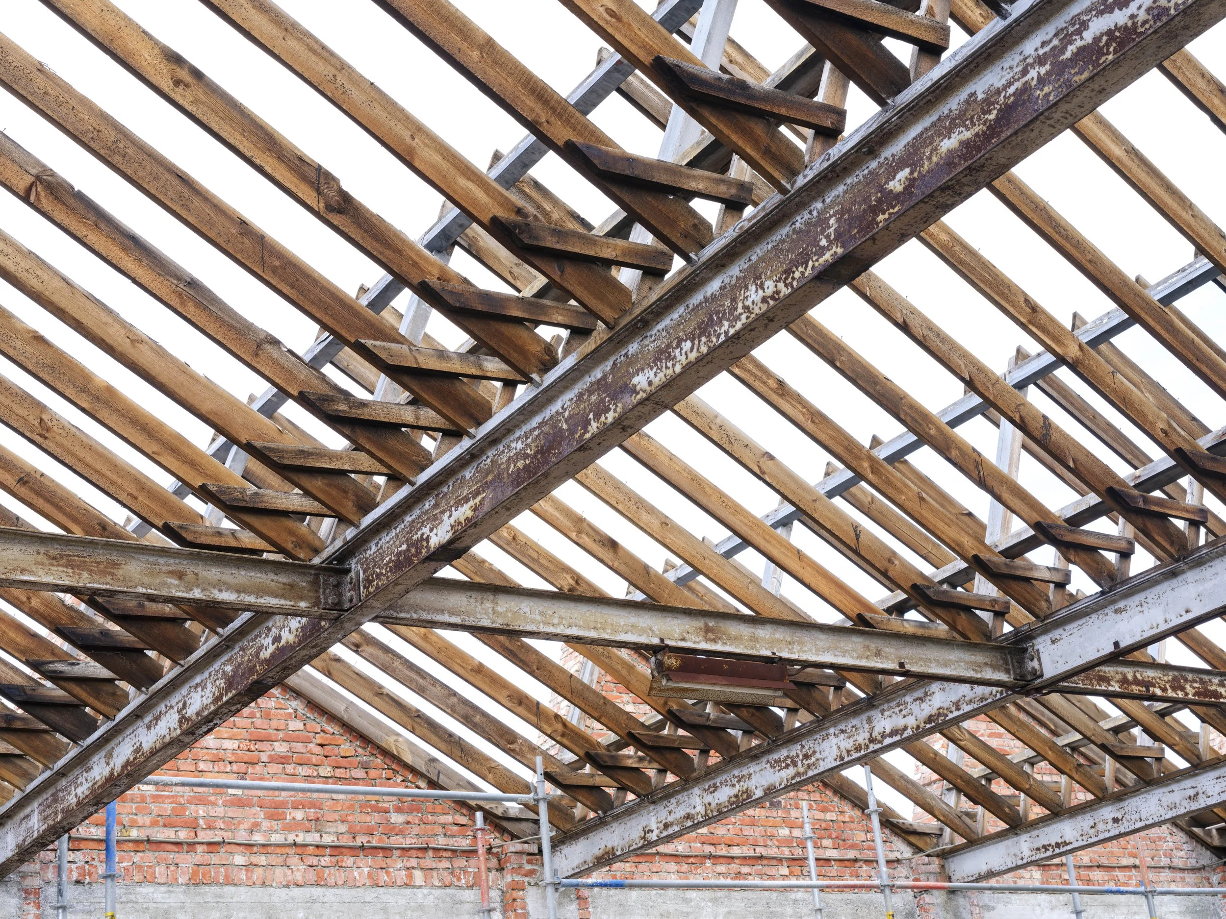 GOEDEFROO-747. WALLE, KORTRIJK201.jpg