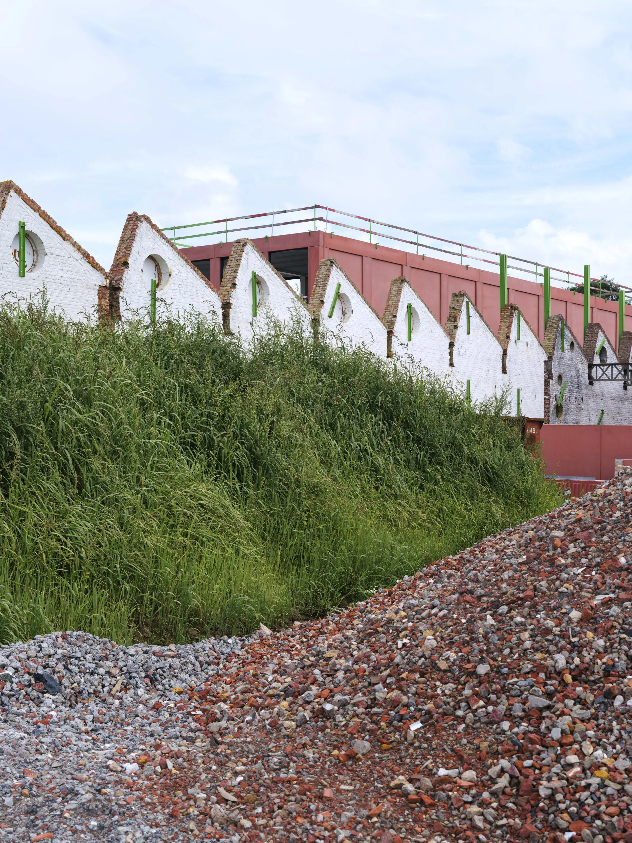 GOEDEFROO-747. WALLE, KORTRIJK005.jpg