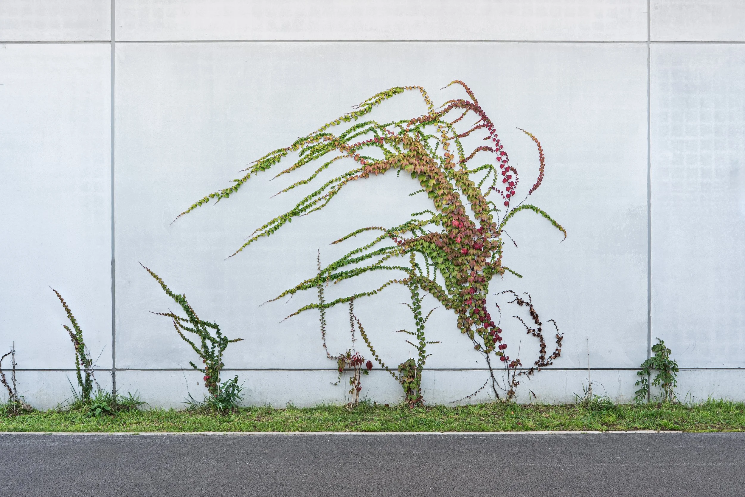 GOEDEFROO_DE STIP_27.09.2025-70-Edit.jpg