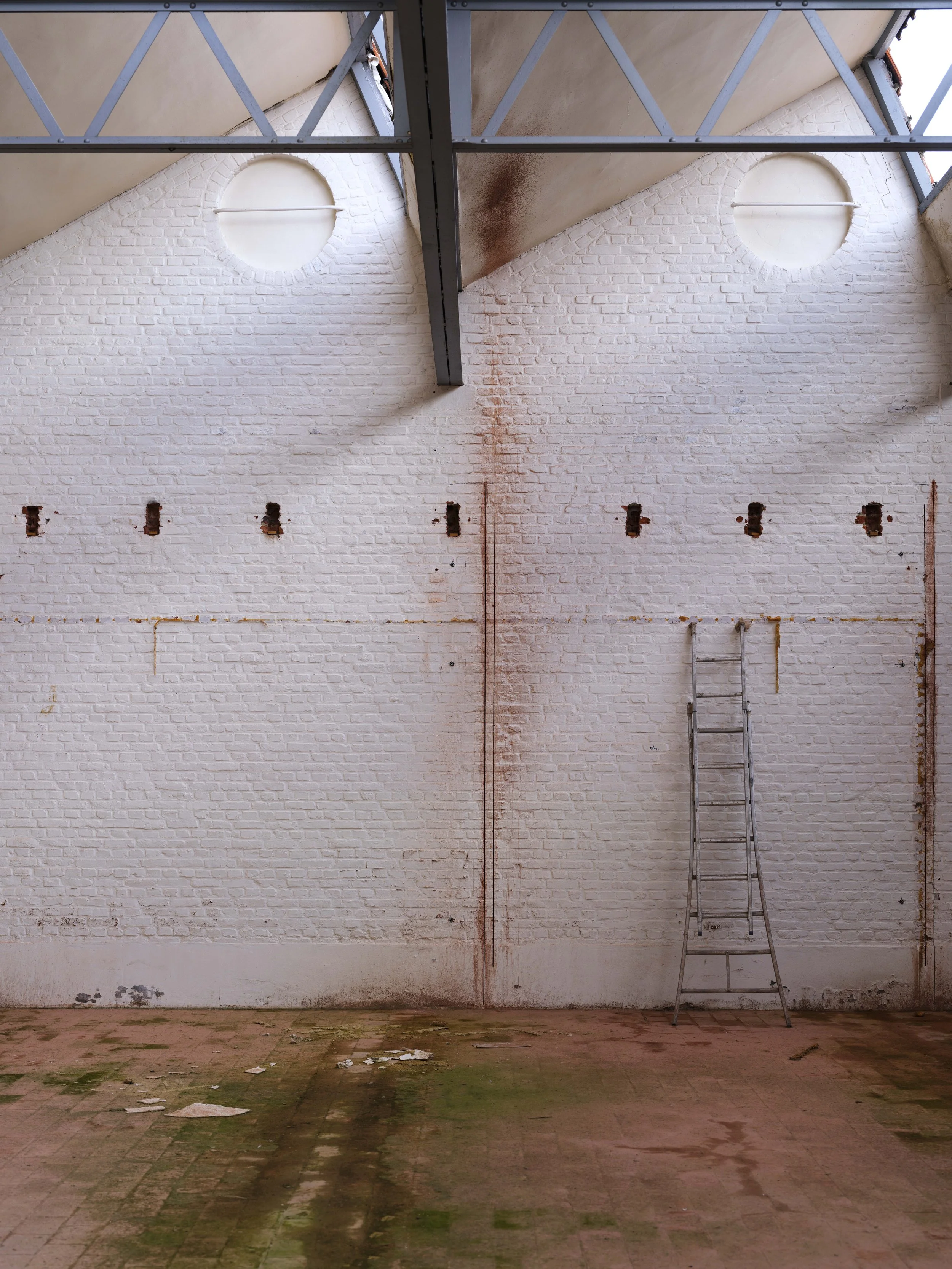 GOEDEFROO-747. WALLE, KORTRIJK038-bewerkt.jpg