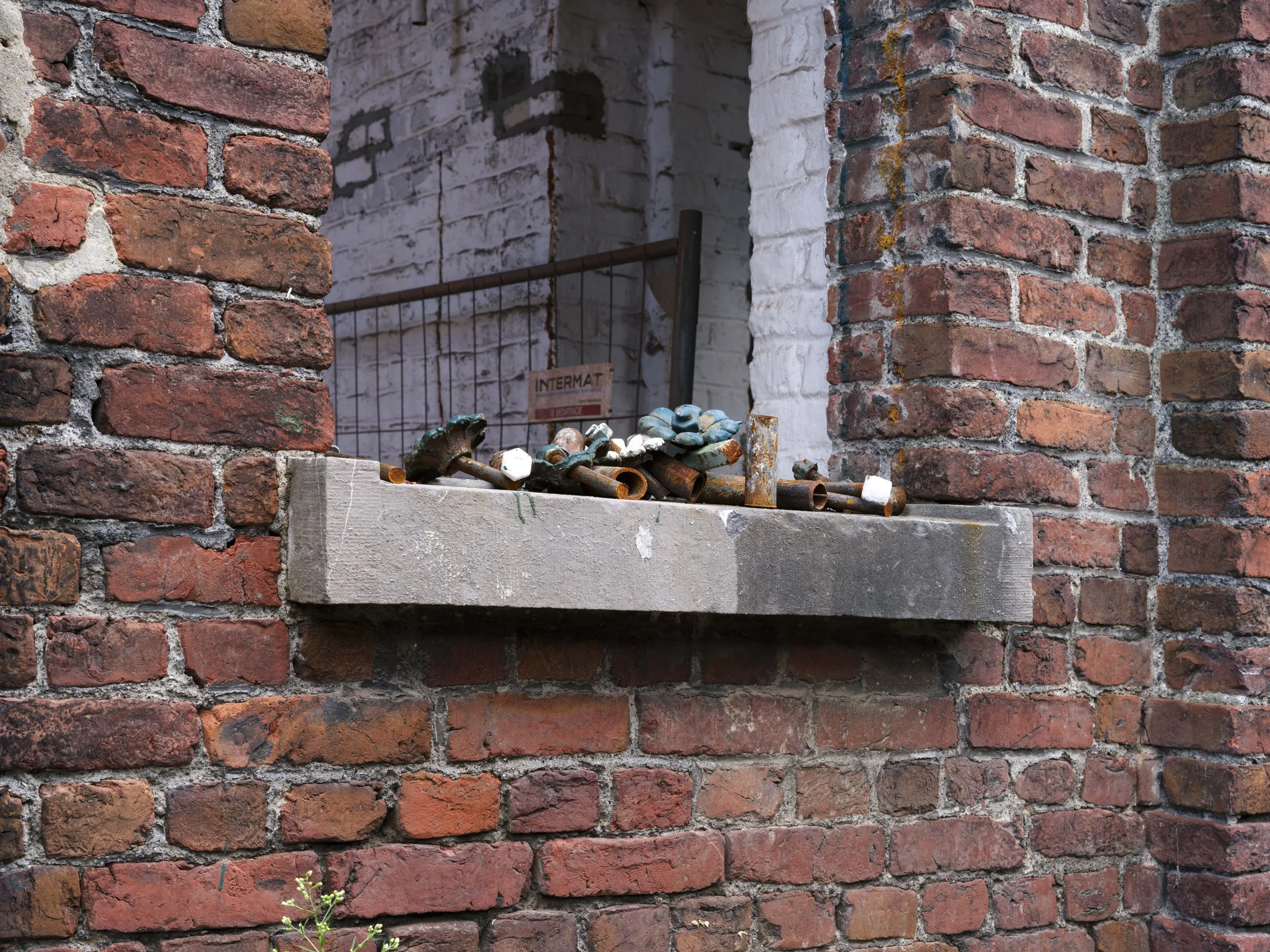 GOEDEFROO-747. WALLE, KORTRIJK208.jpg