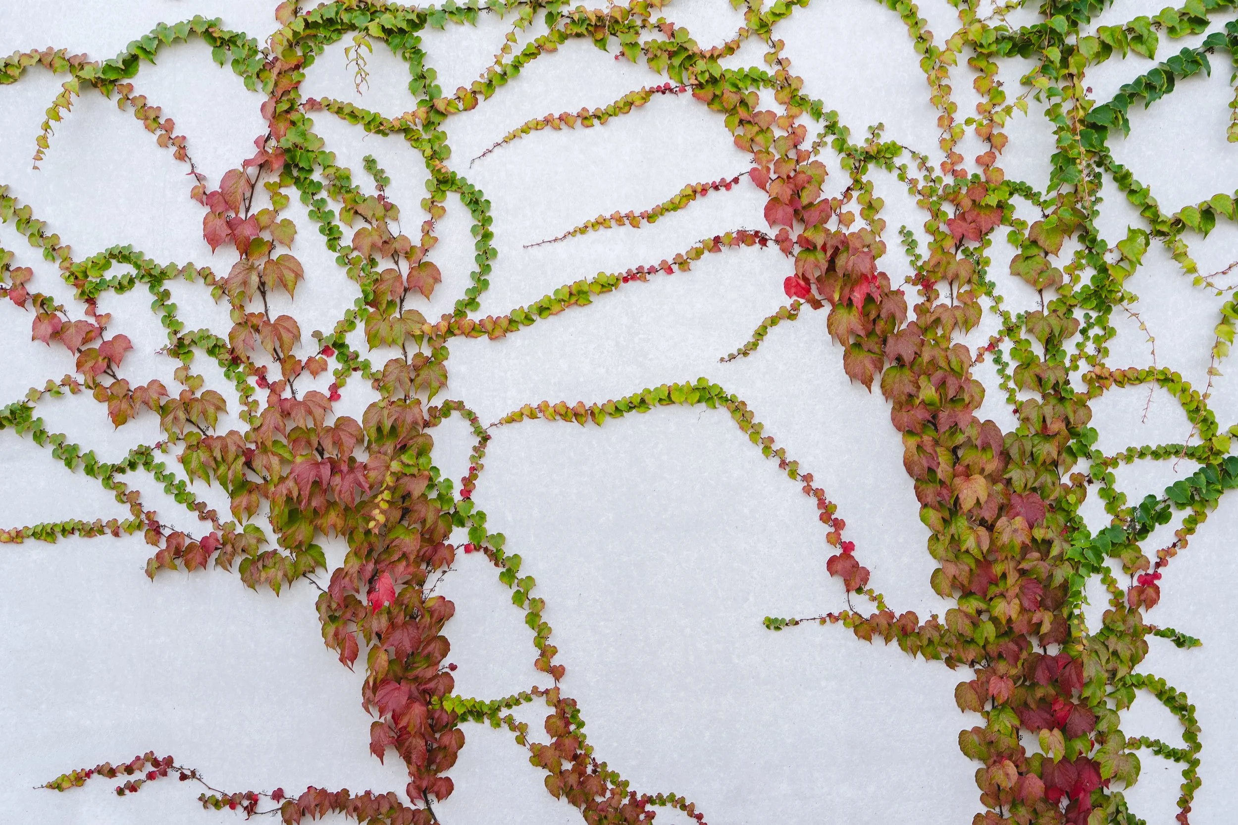 GOEDEFROO_DE STIP_27.09.2025-274-Edit.jpg