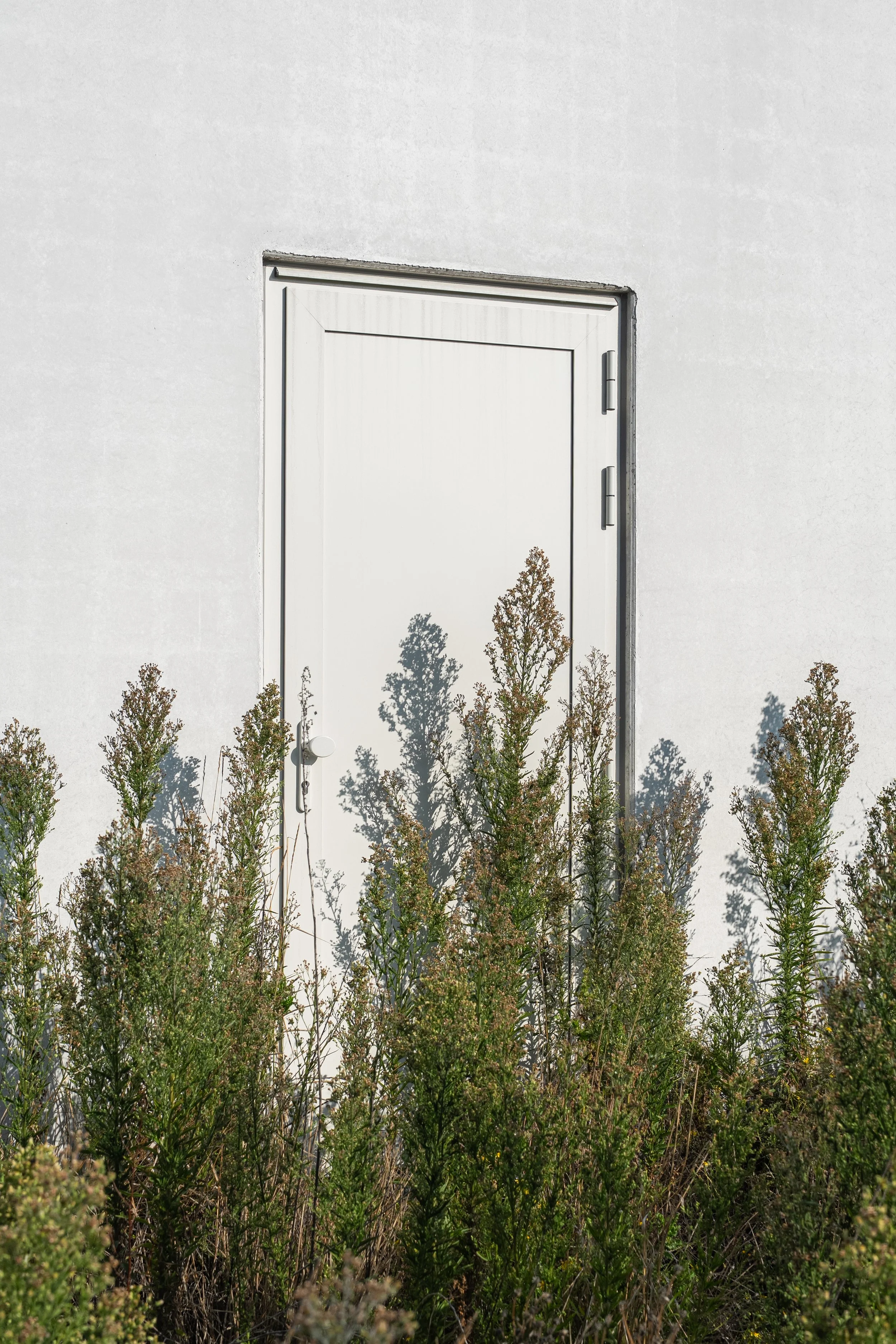 GOEDEFROO_DE STIP_27.09.2025-188-Edit.jpg