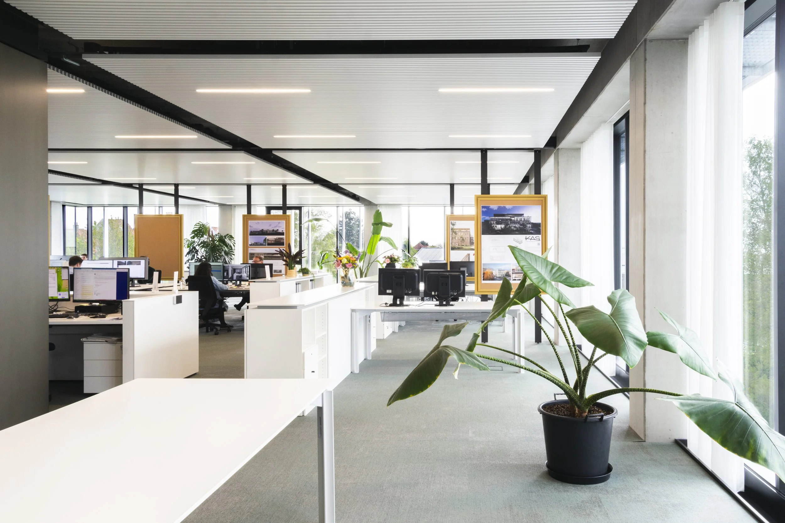 Sonar_Office_Nikon_April_2024048-bewerkt.jpg