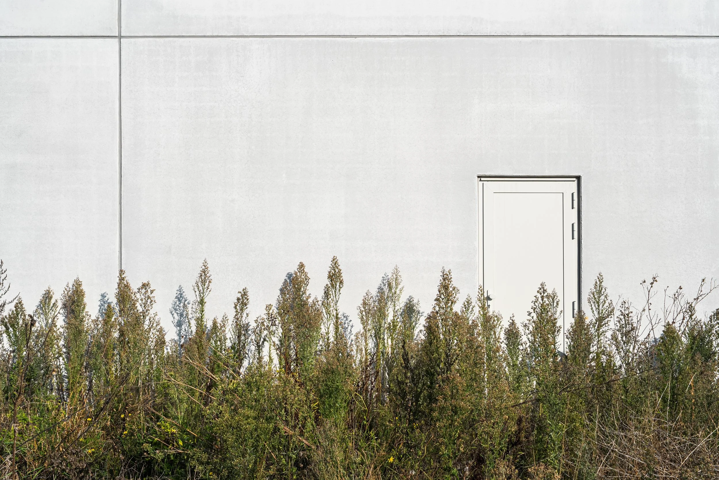 GOEDEFROO_DE STIP_27.09.2025-148-Edit.jpg