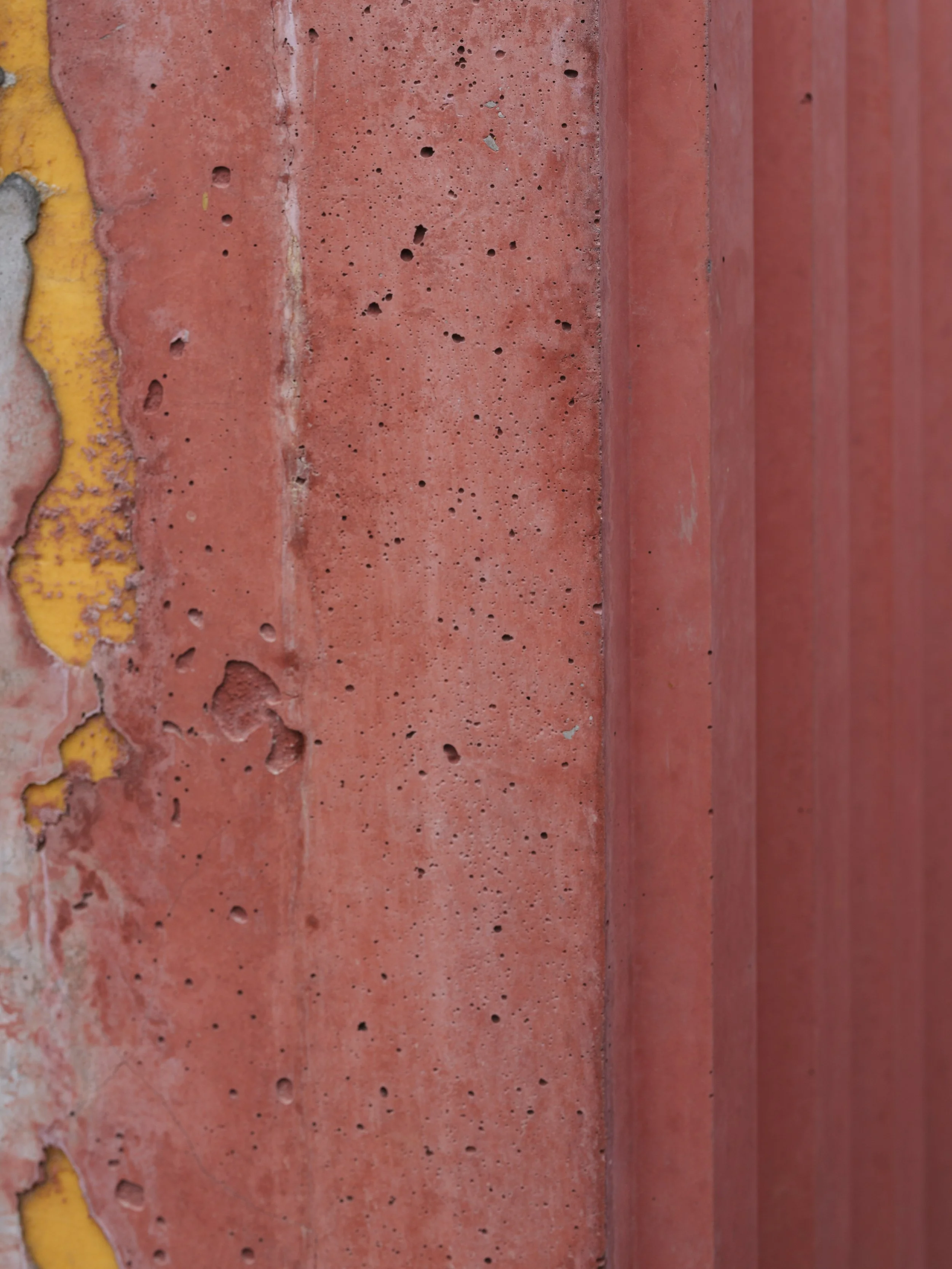 GOEDEFROO-747. WALLE, KORTRIJK047.jpg