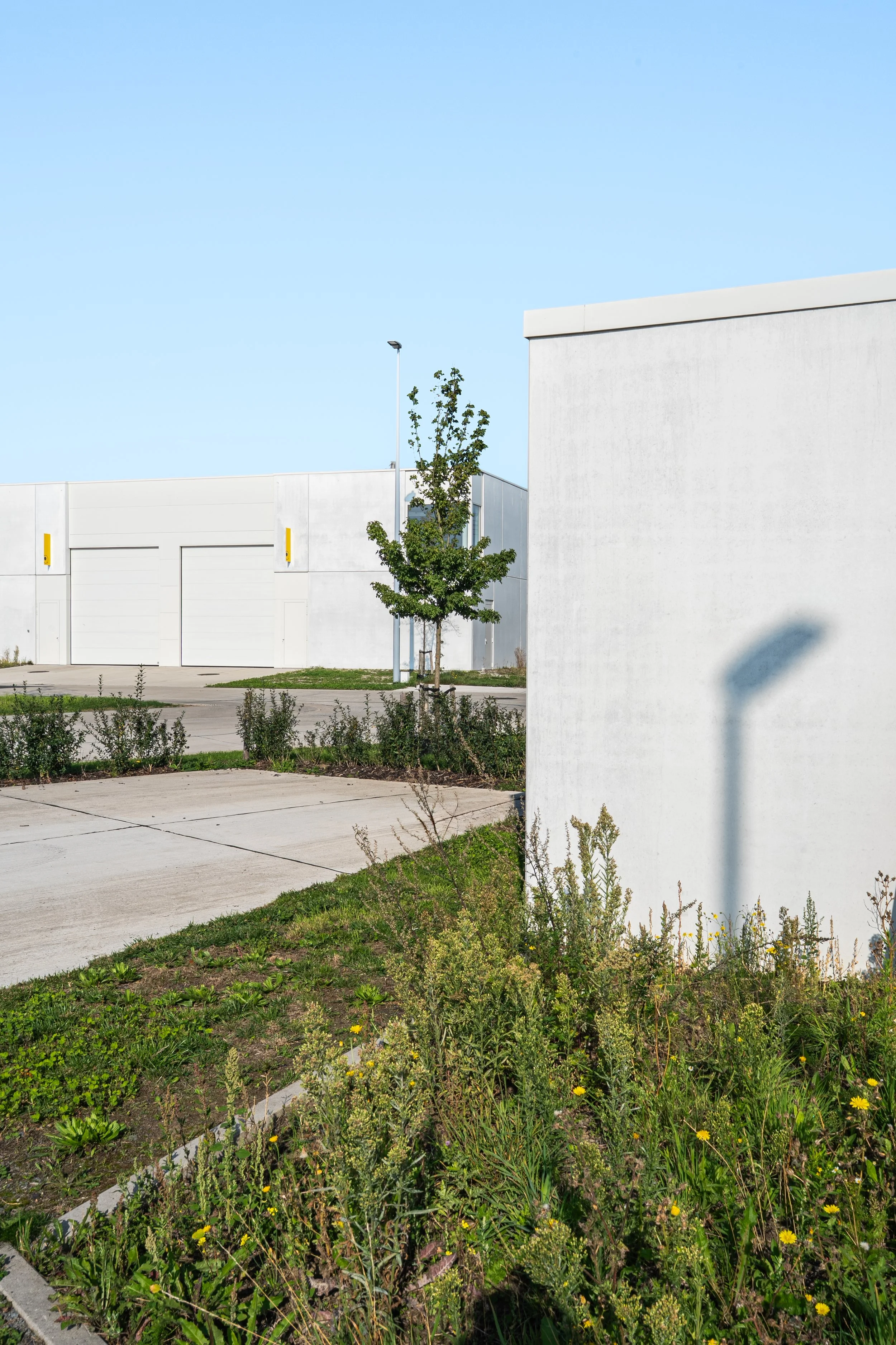 GOEDEFROO_DE STIP_27.09.2025-302-Edit.jpg