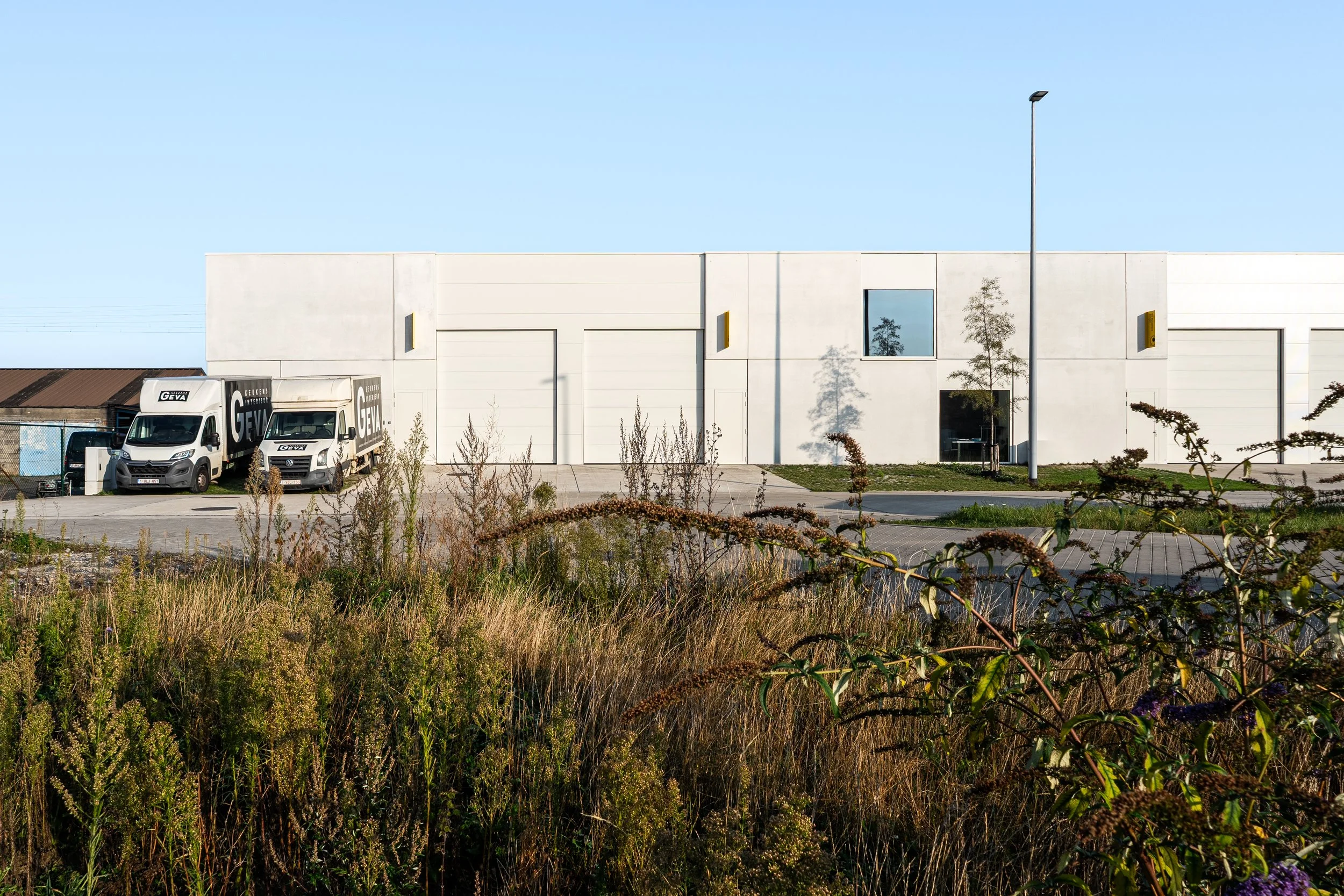 GOEDEFROO_DE STIP_27.09.2025-2-Edit.jpg