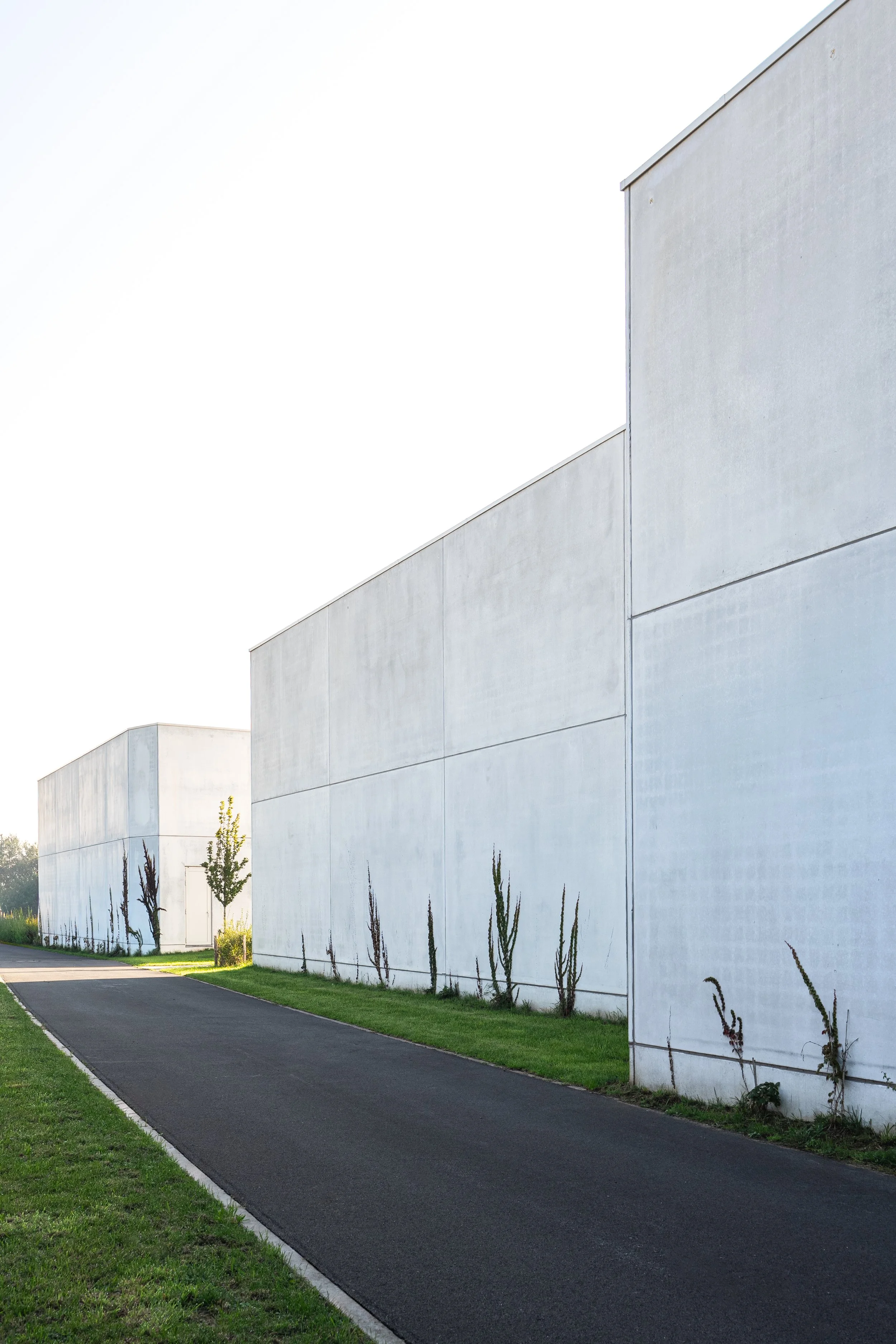 GOEDEFROO_DE STIP_27.09.2025-78-Edit.jpg