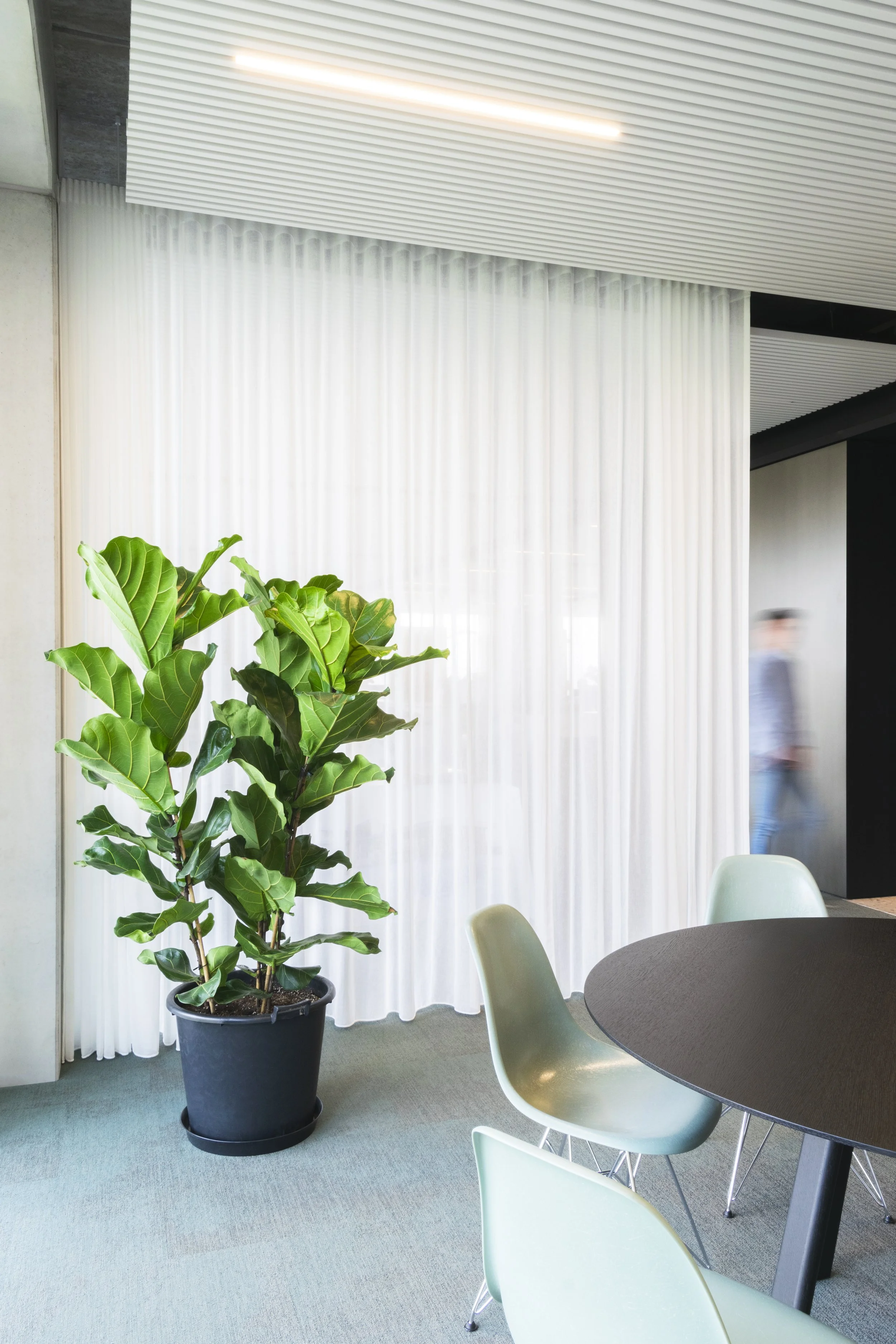 Sonar_Office_Nikon_April_2024110-bewerkt.jpg