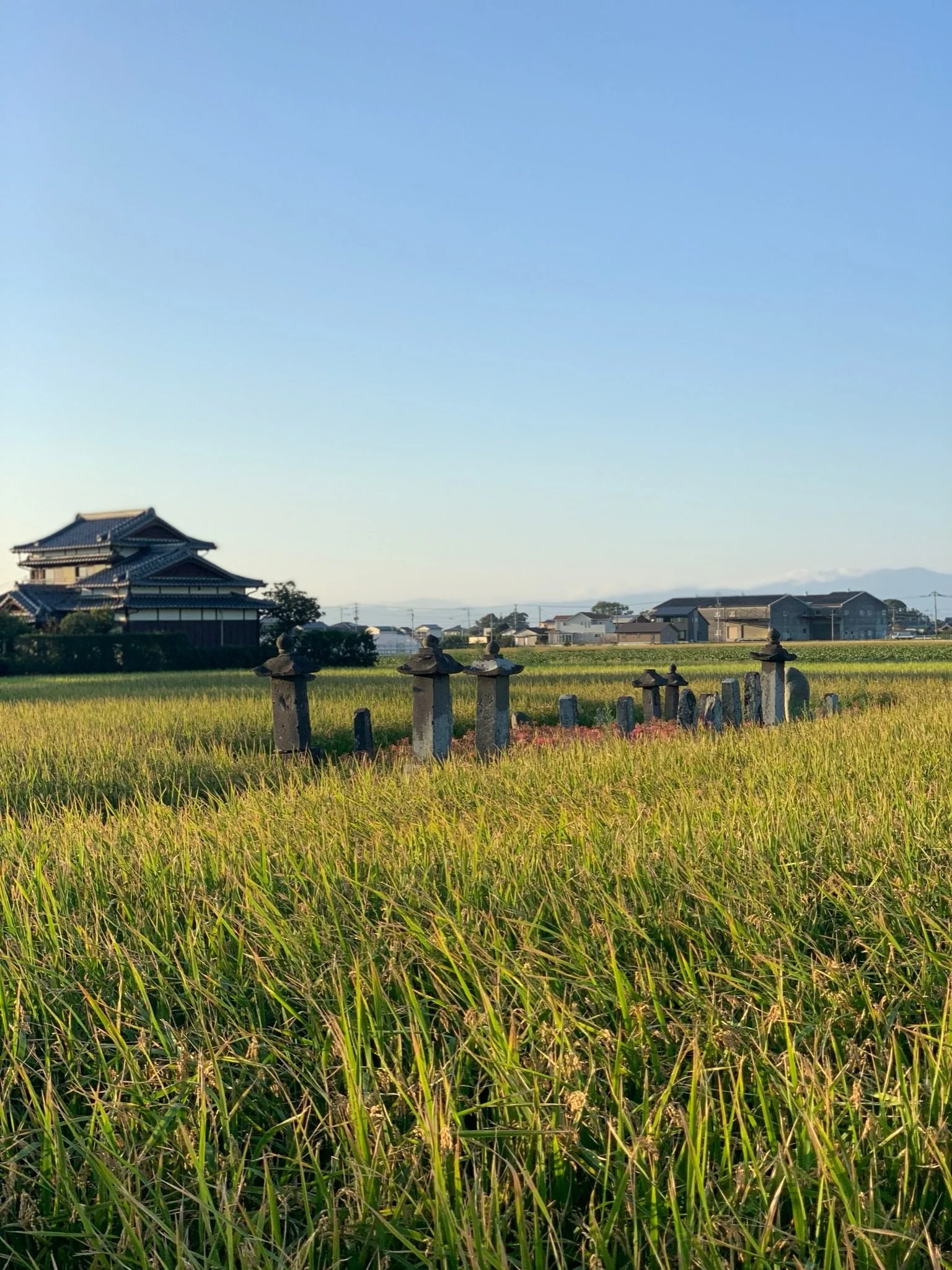 Rice paddy and traditional Japanese houses in the countryside