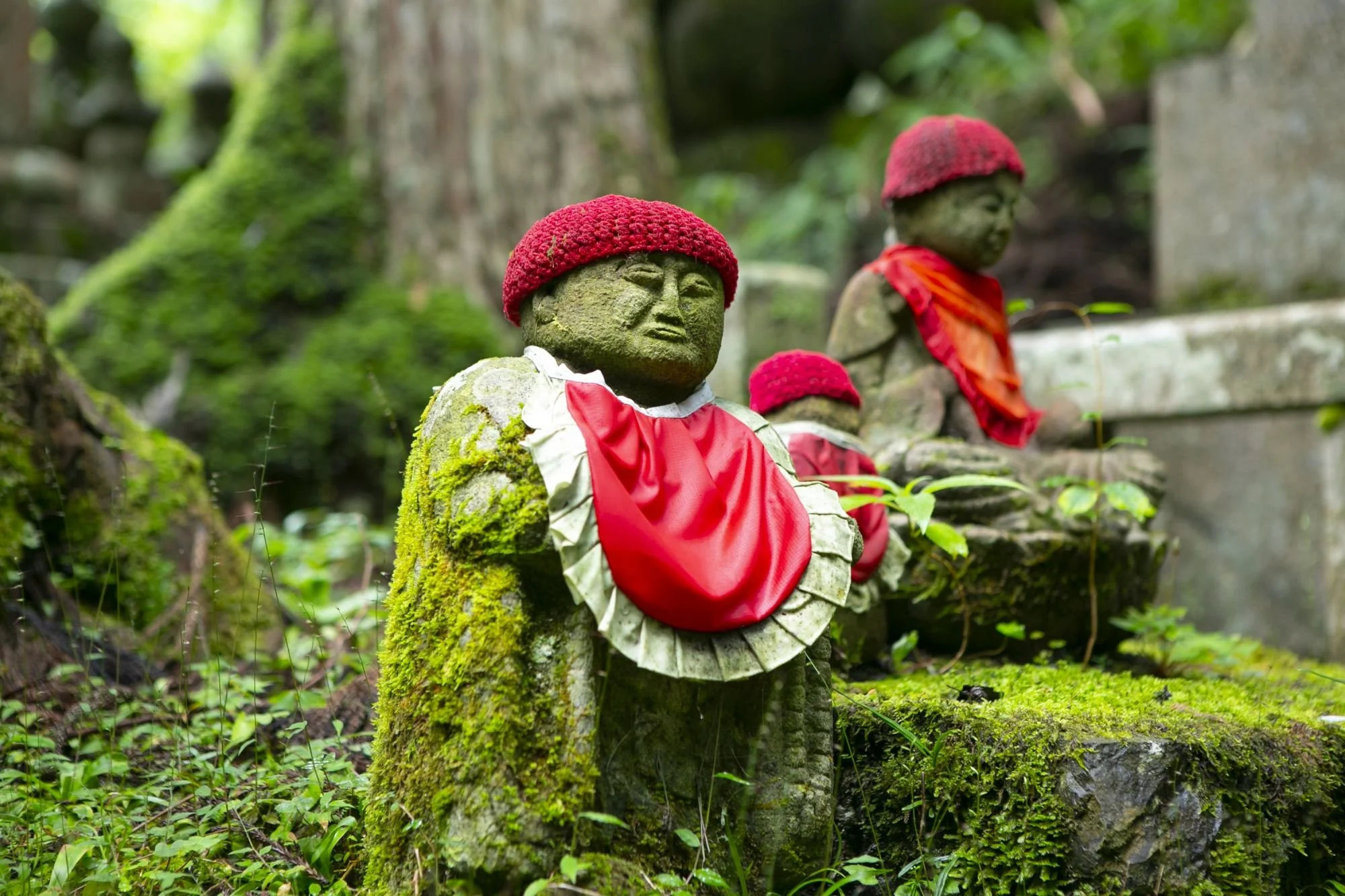 moss covered ojizo-sama or jizo statues