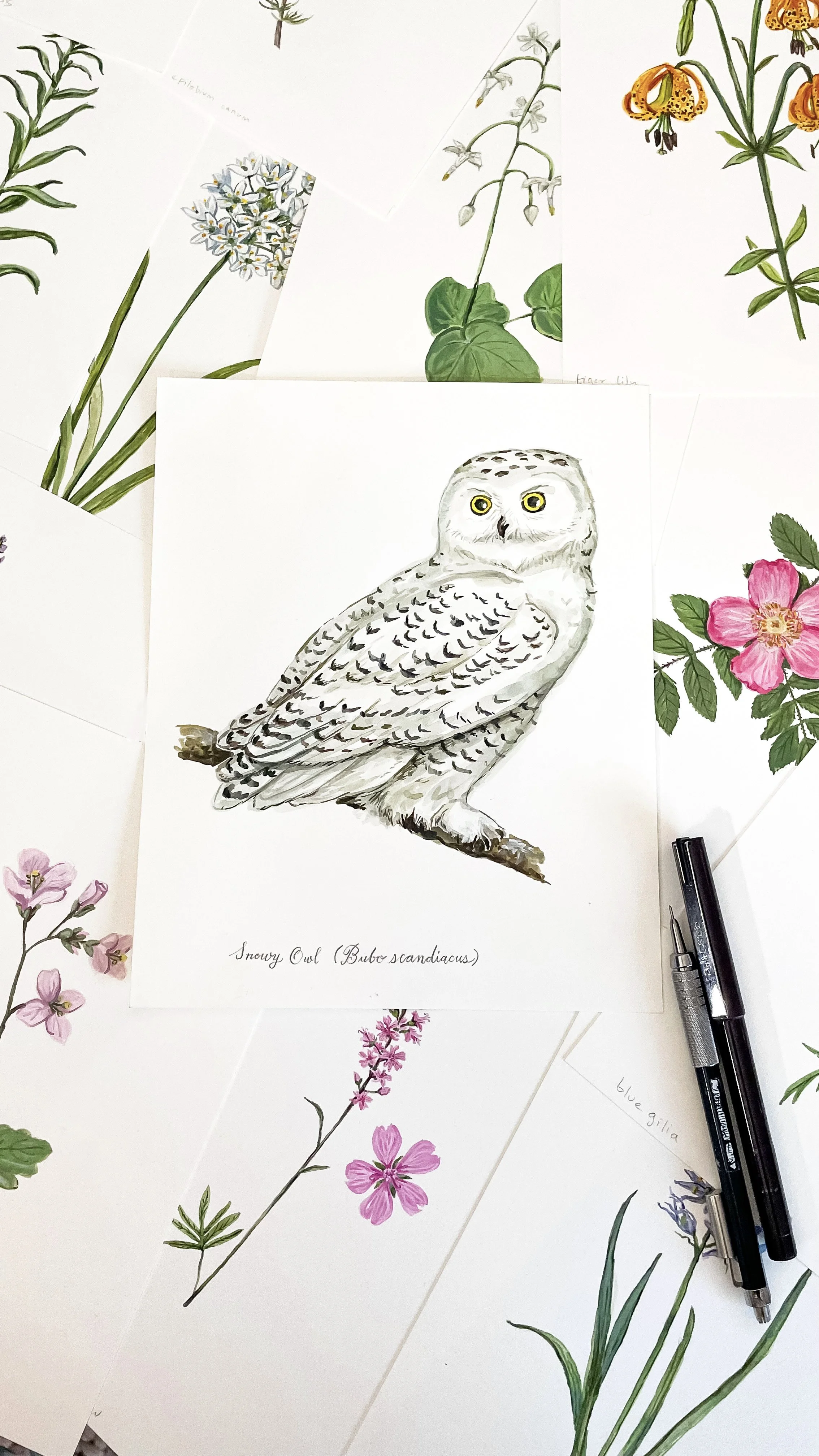 Snowy Owl, Original Watercolor
