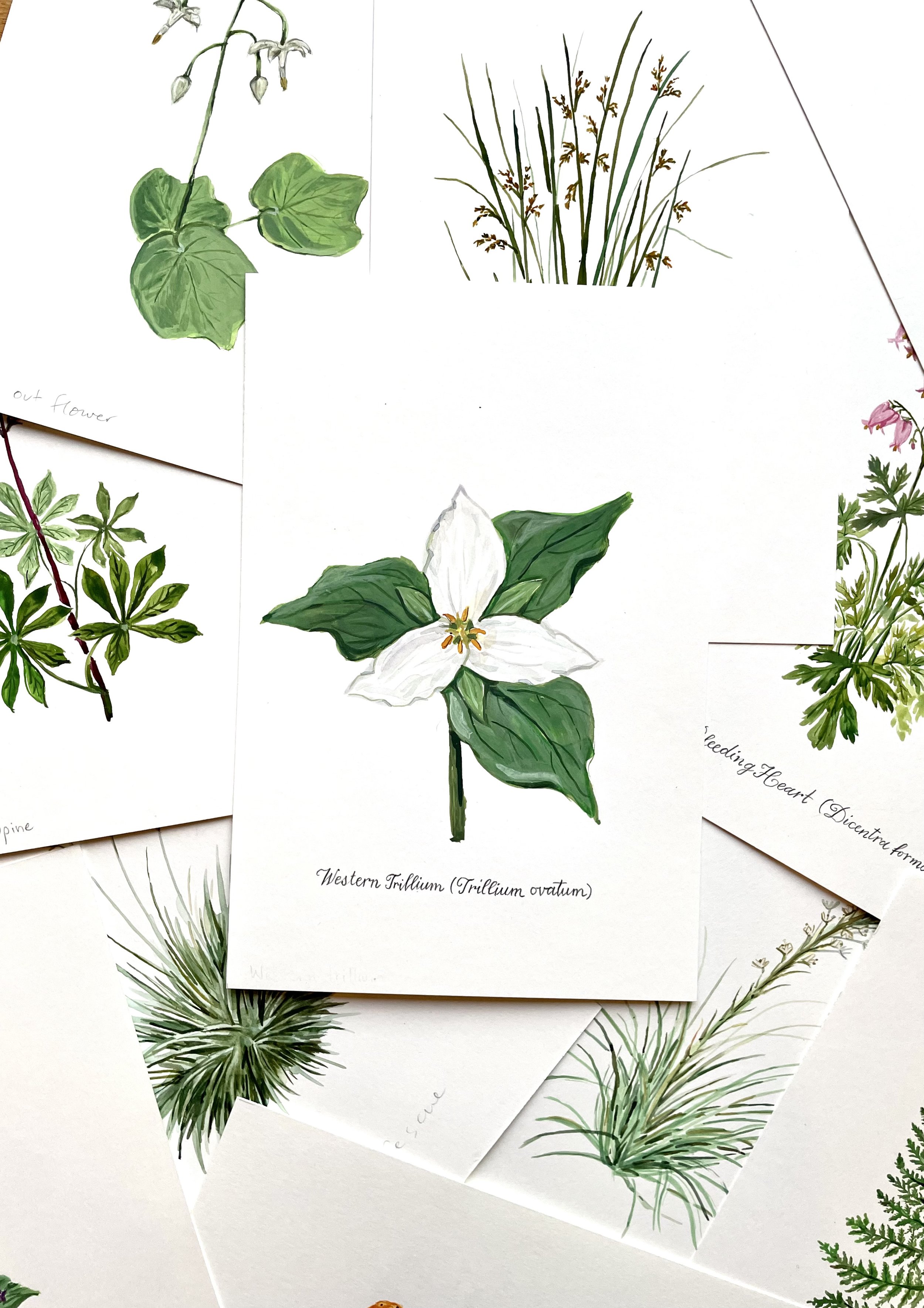 Trillium, Original Watercolor
