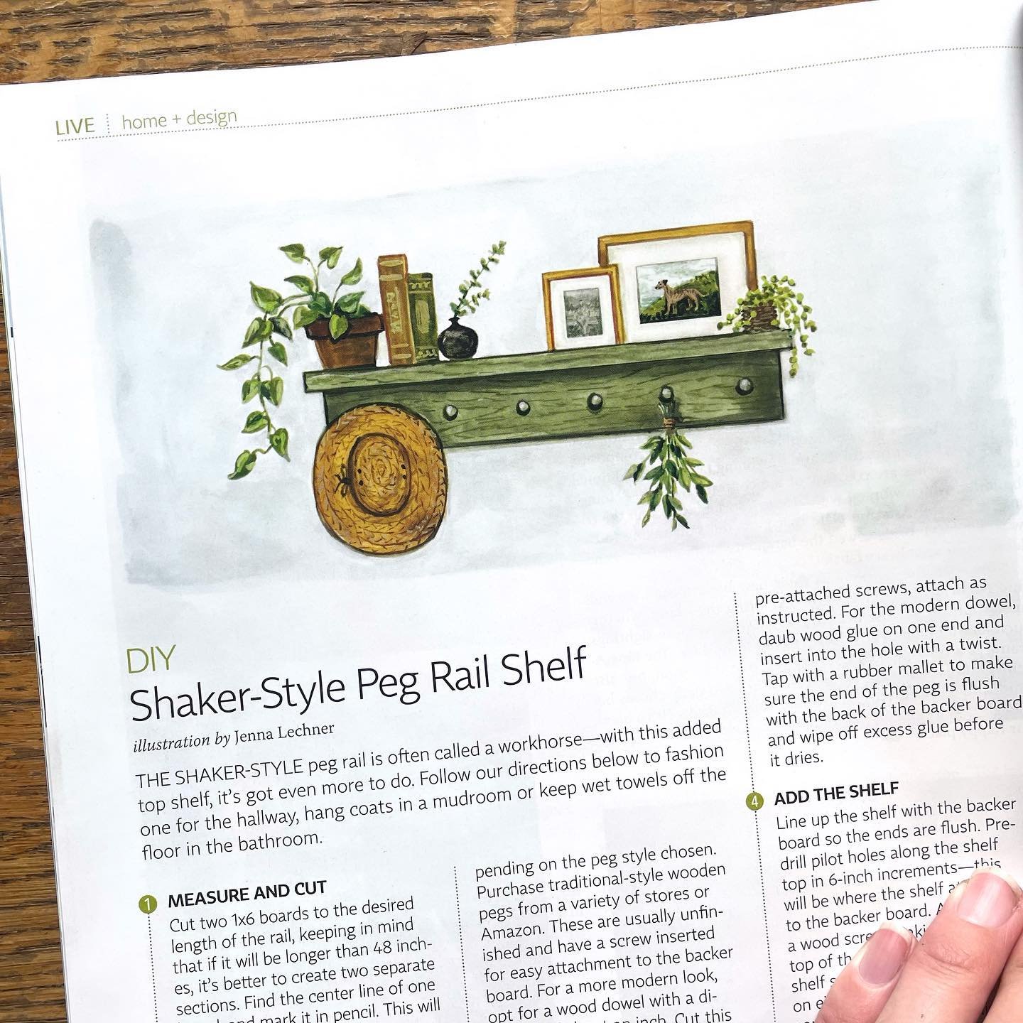 Illustration for an article on building a Shaker Peg shelf, that I did for the April/May issue of @1889washington magazine, on stands now in Washington state! Thanks to AD Allison Bye 💚 

Of course I included a tiny painting of Coco on the shelf, pl