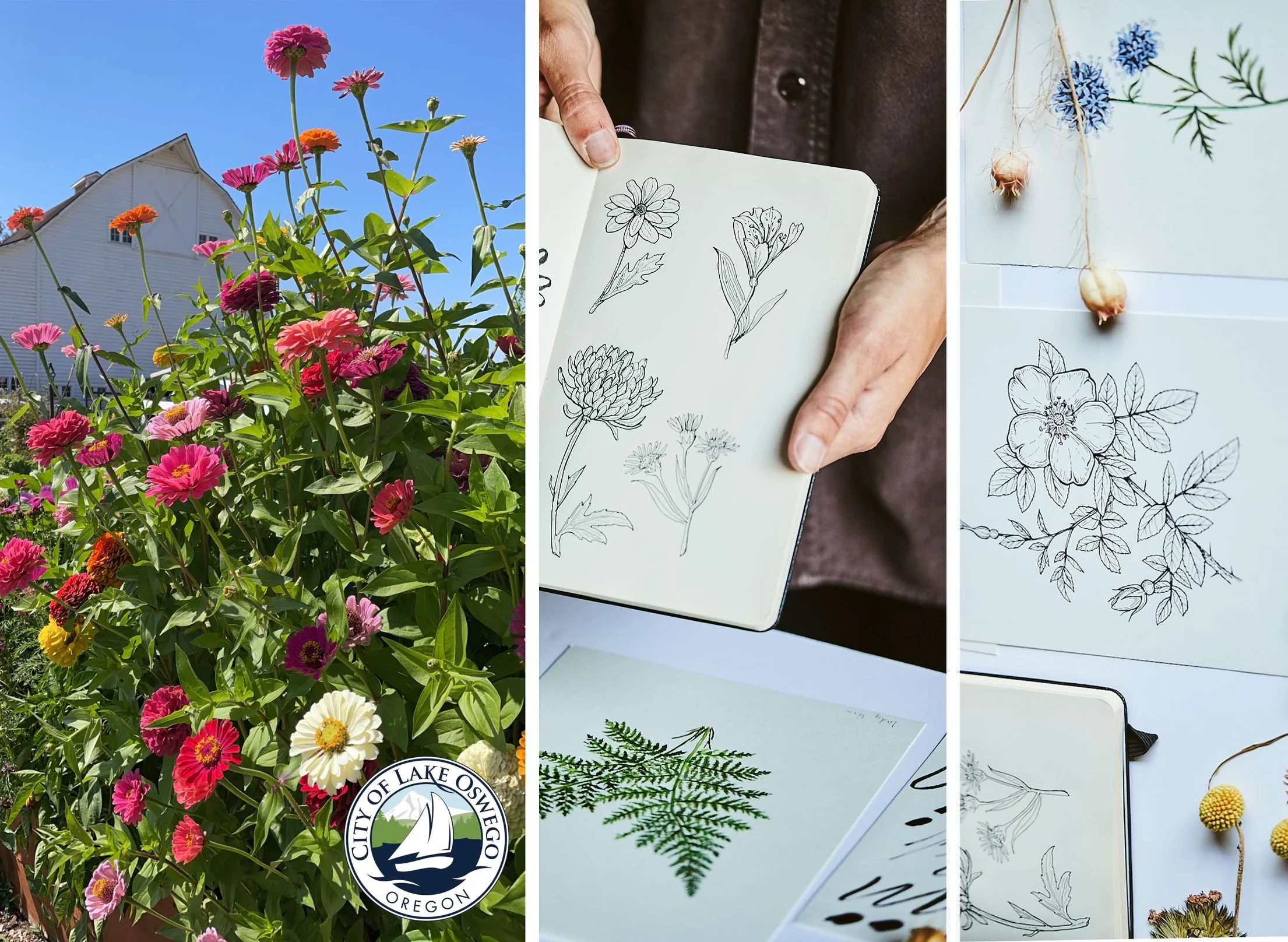 Intro to Botanical Illustration at Luscher Farm