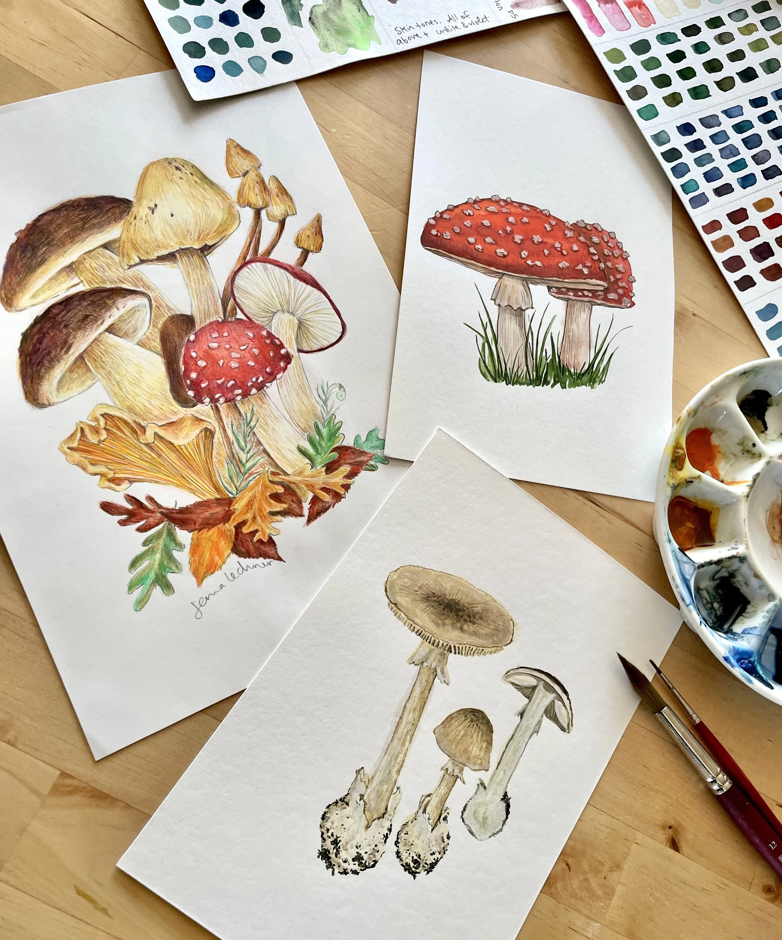 Intro to Watercolor: Mushrooms (2hrs)
