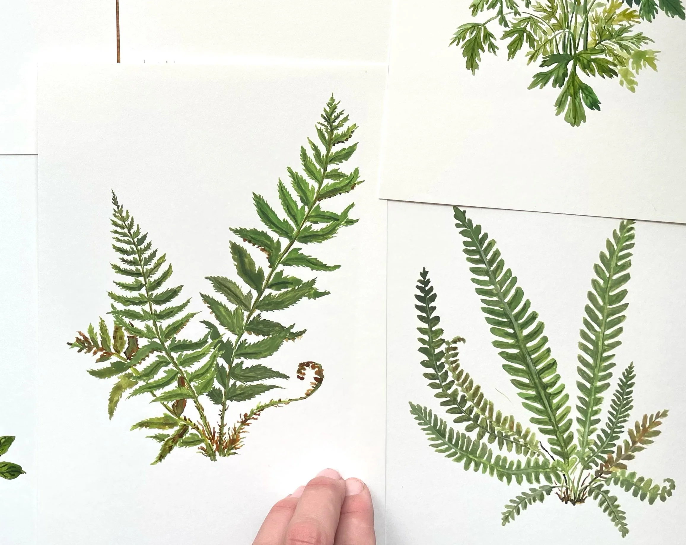 Past Event: Beginning Watercolor