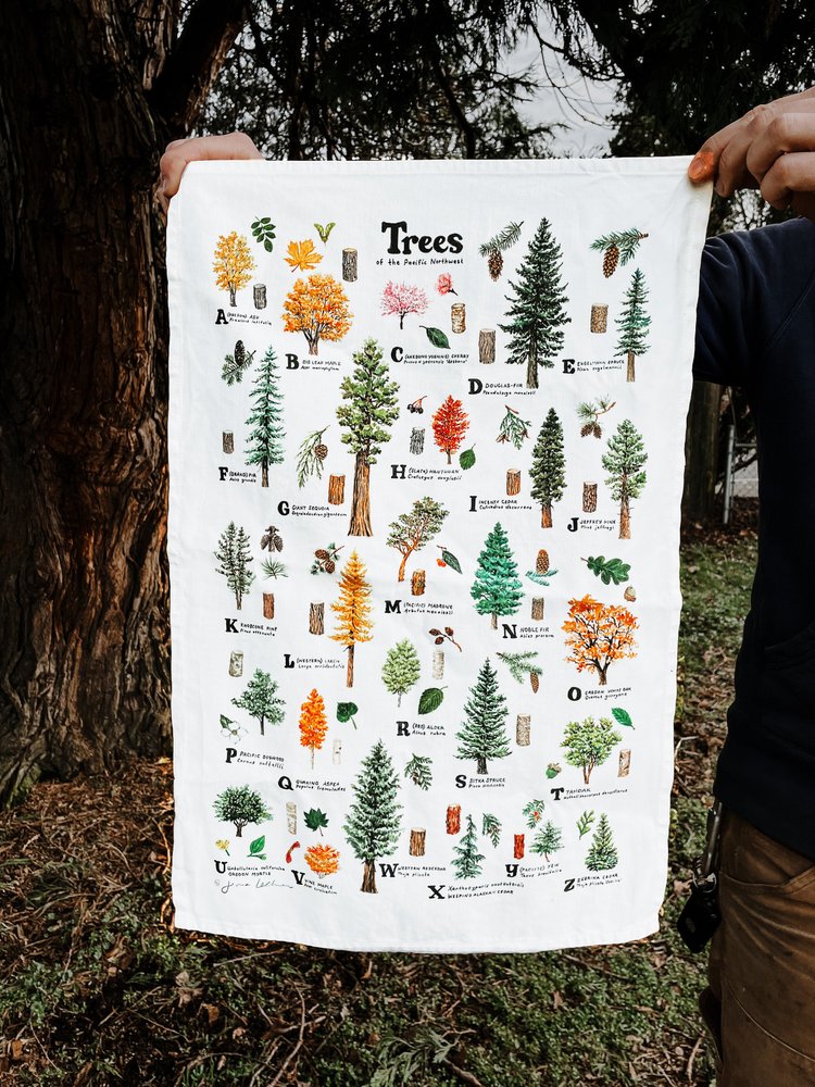 Trees of the Pacific Northwest — Jenna Lechner