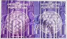 The Ancient Secret of the Flower of Life Vols. 1&amp;2