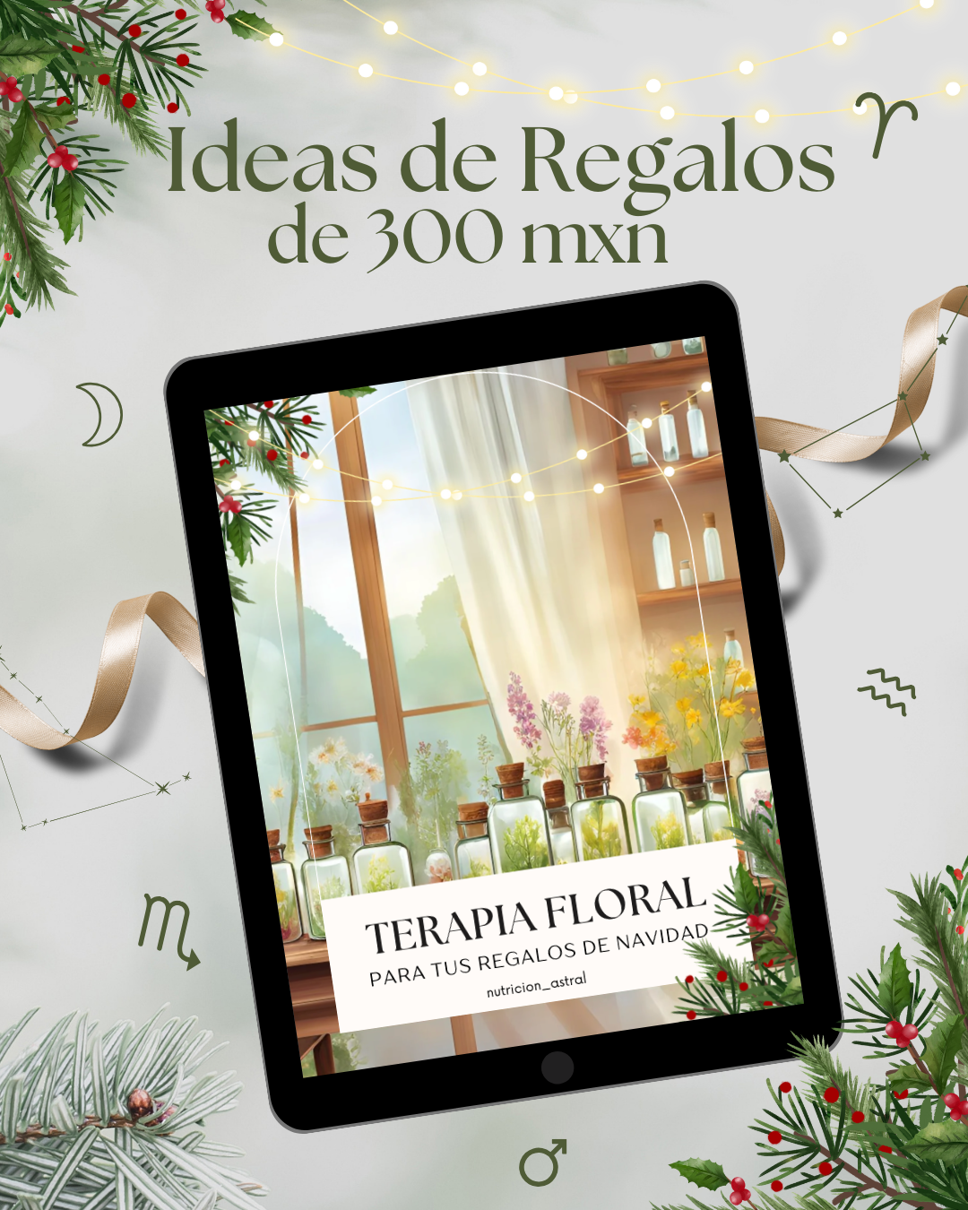 PDF REGALOS NAVIDEÑOS