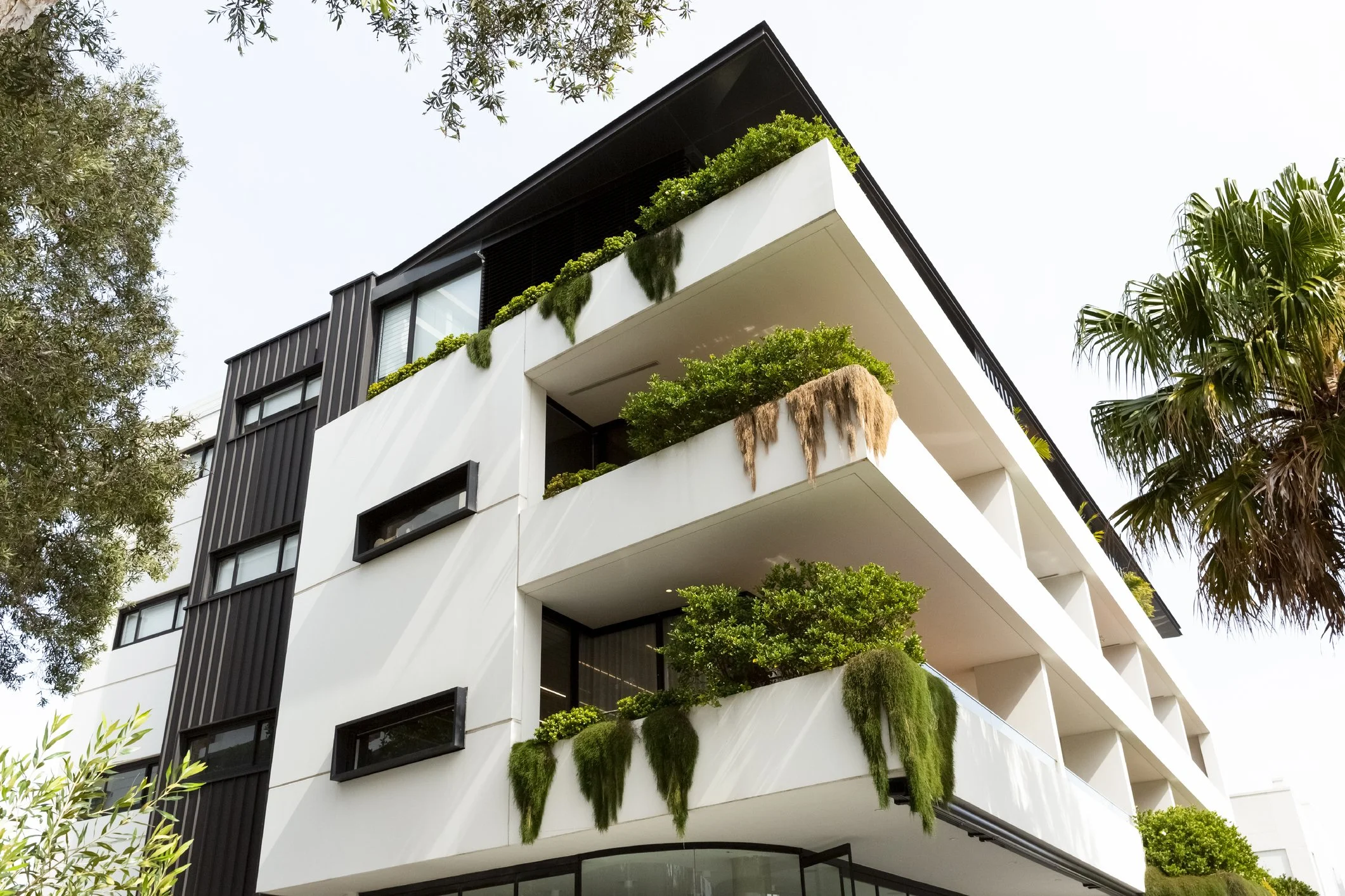Modern multi-story apartment building with white exterior, black accents, and lush green plants on balconies.