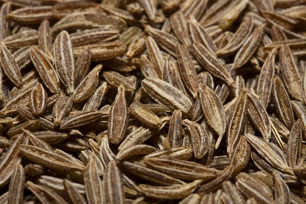 Cumin Seed