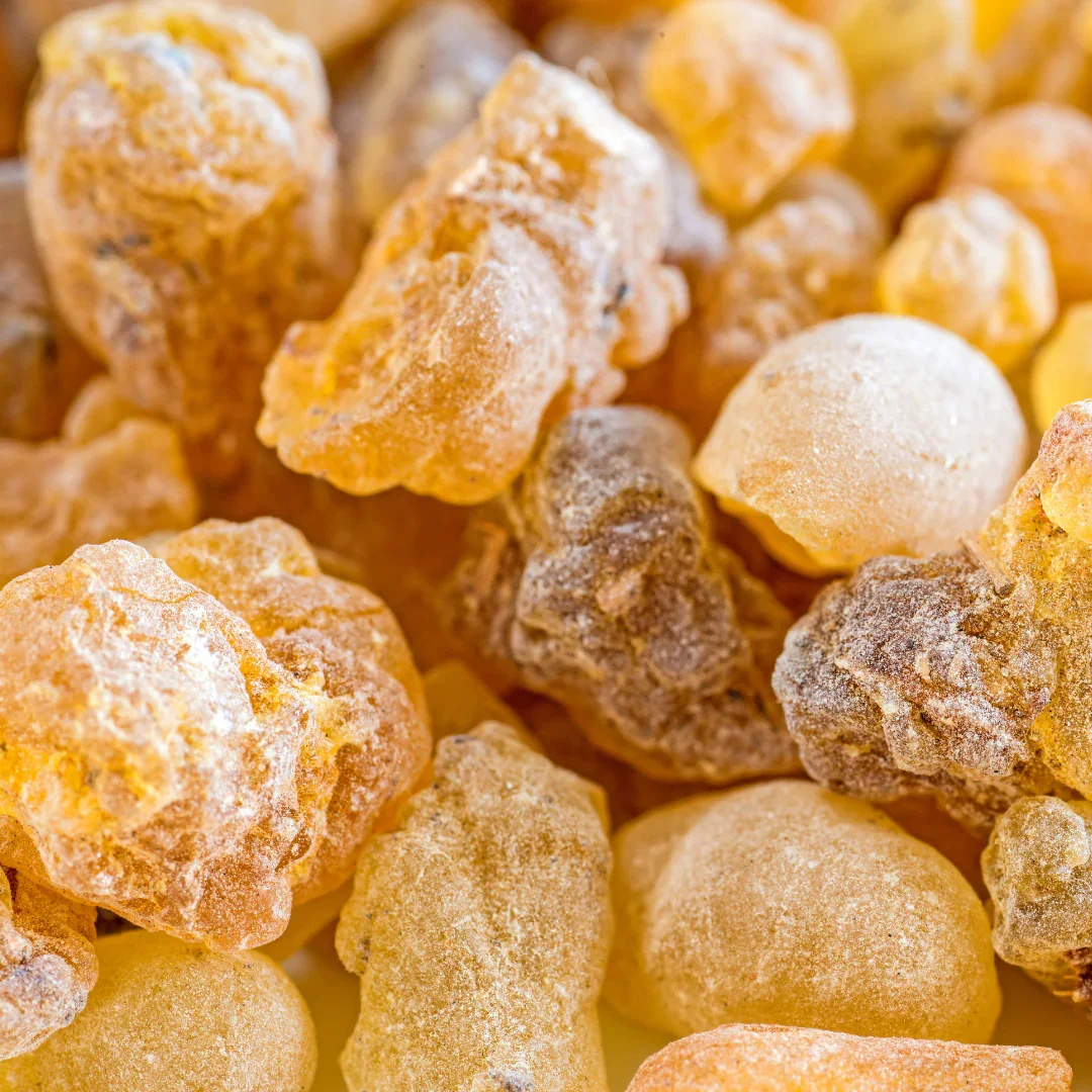 Frankincense, (Somalia) Wild (Organic)