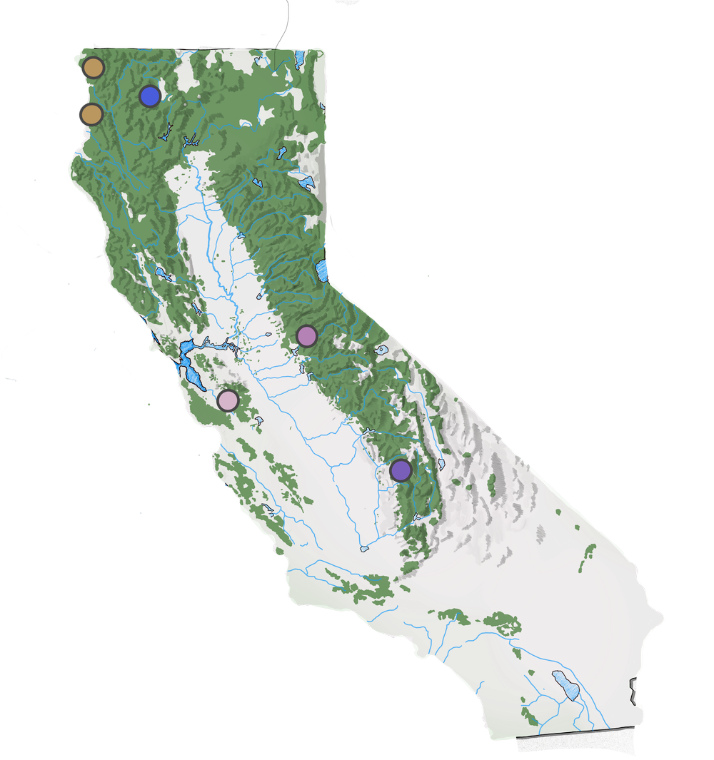 The California Forest Project