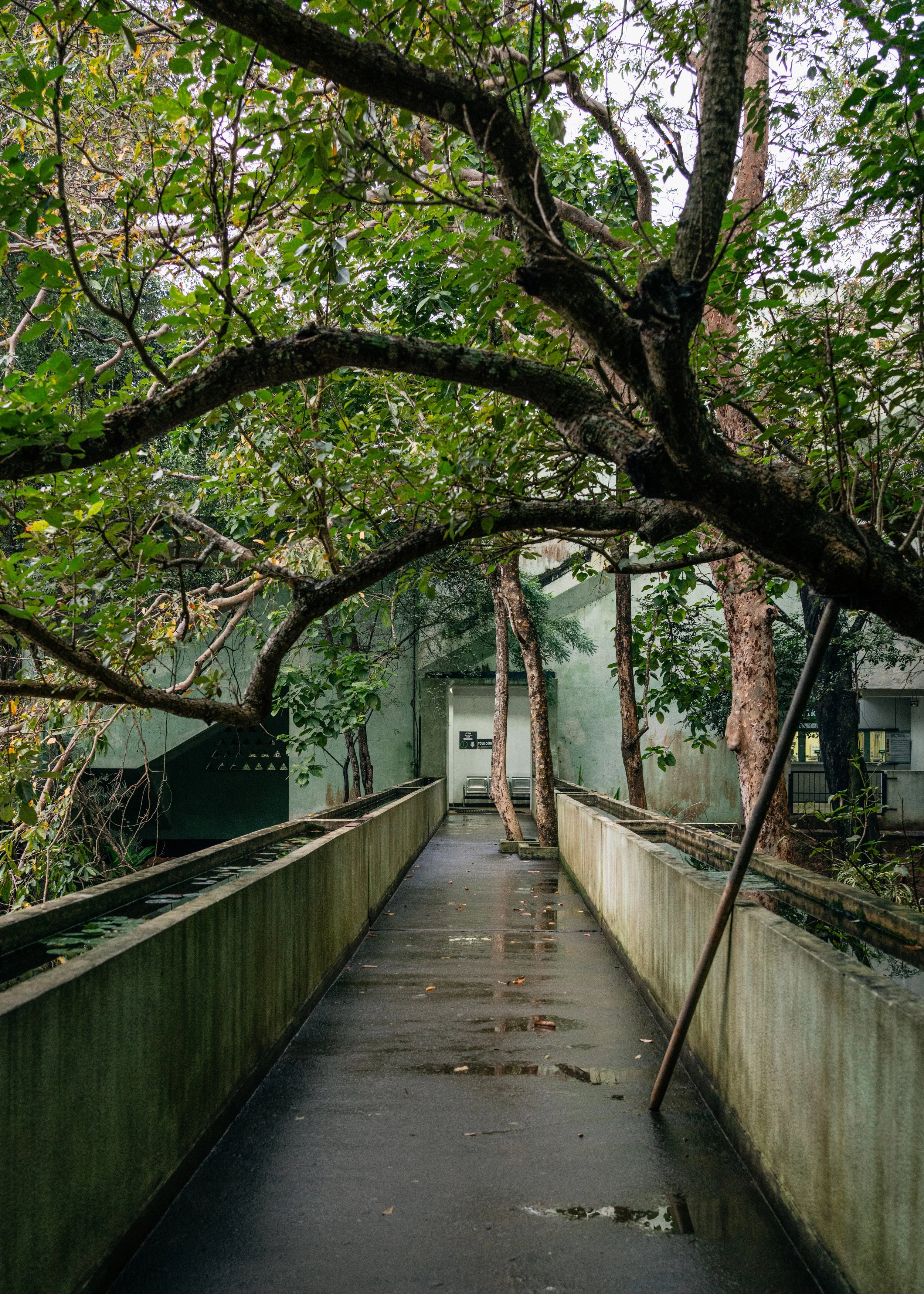 _DSC3129-3 copia.jpg