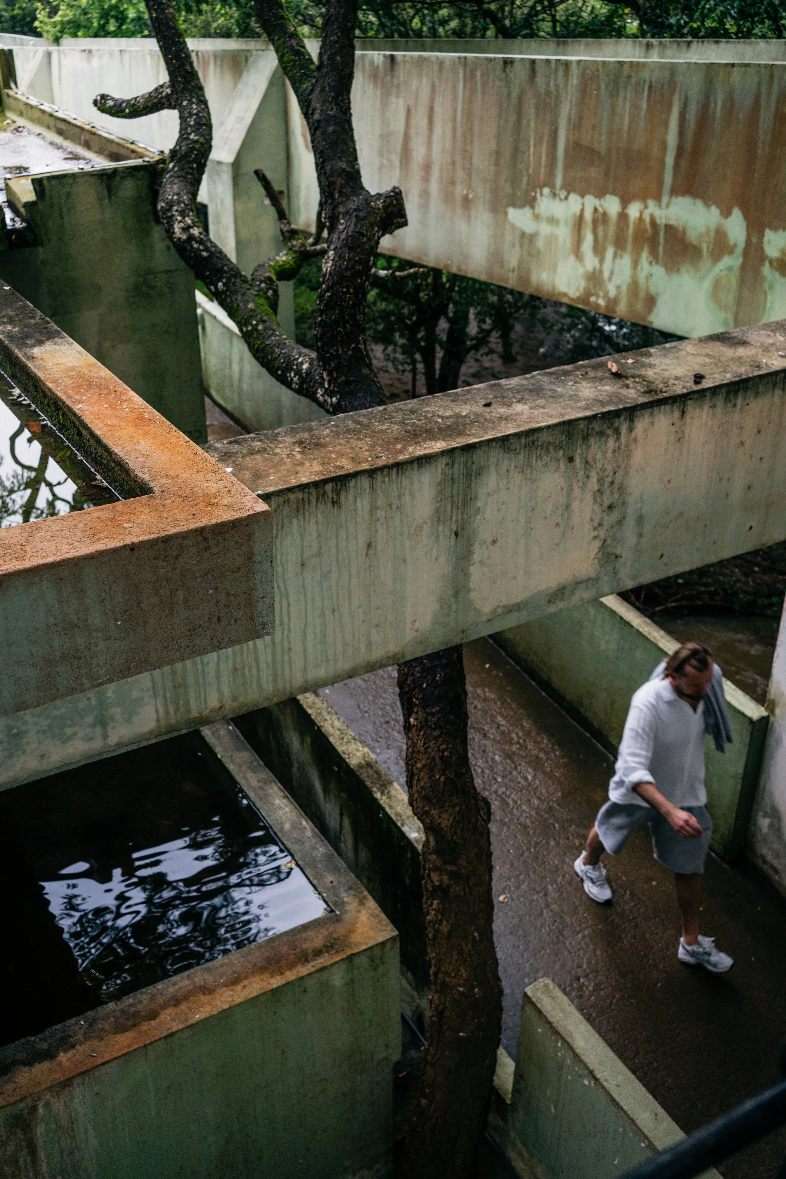 _DSC3118-2 copia.jpg