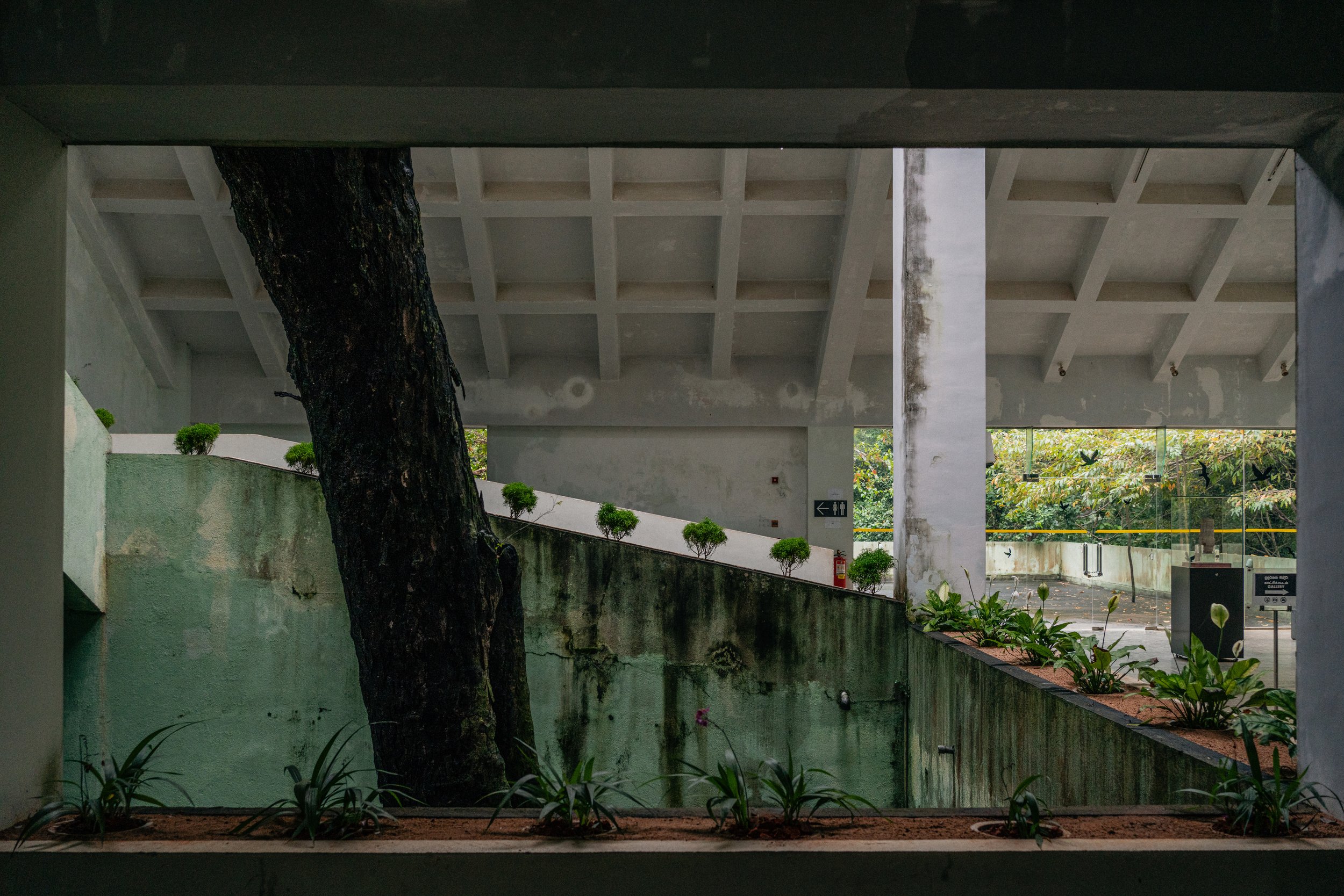 _DSC3092-2 copia.jpg