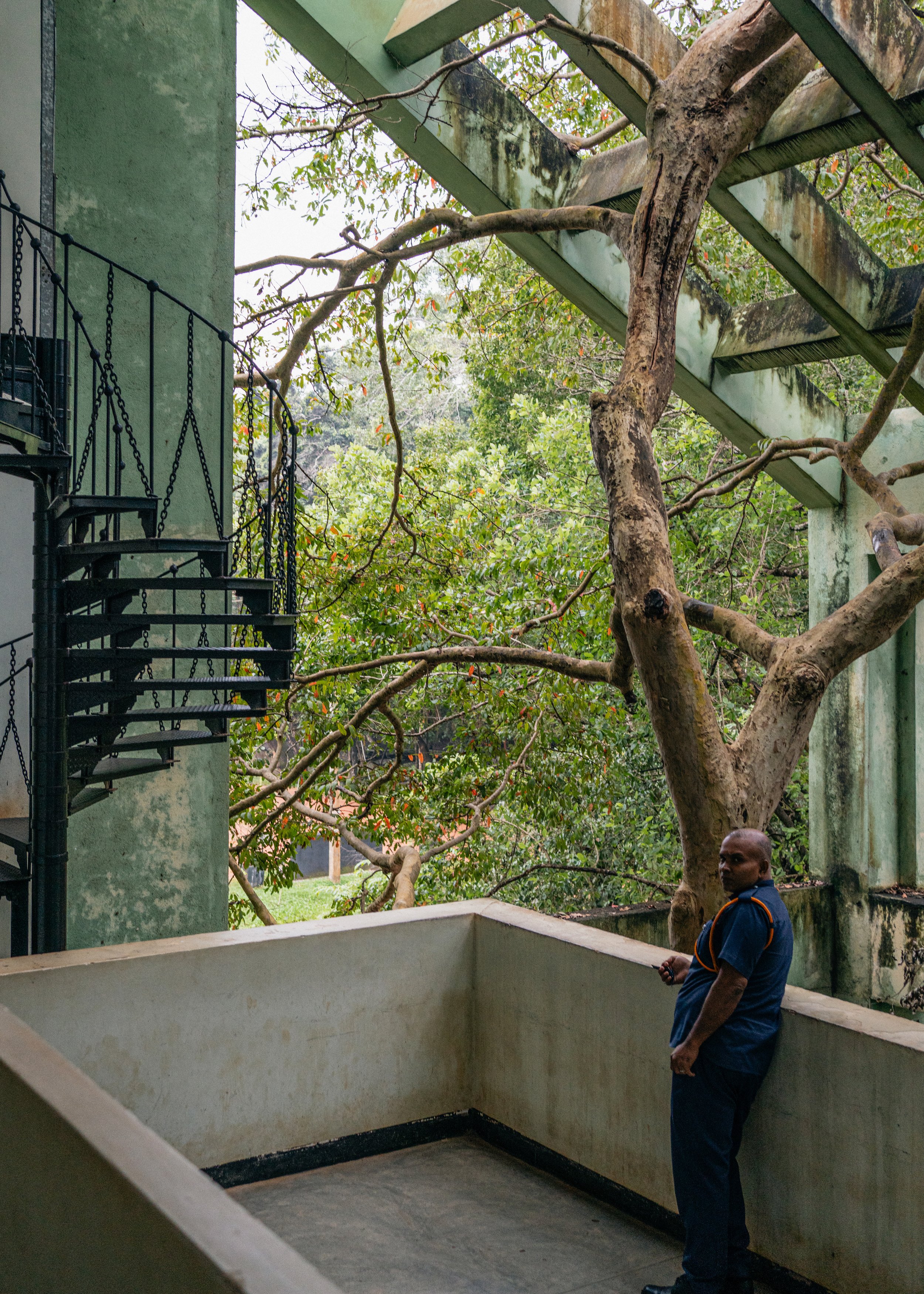 _DSC3110-3 copia.jpg