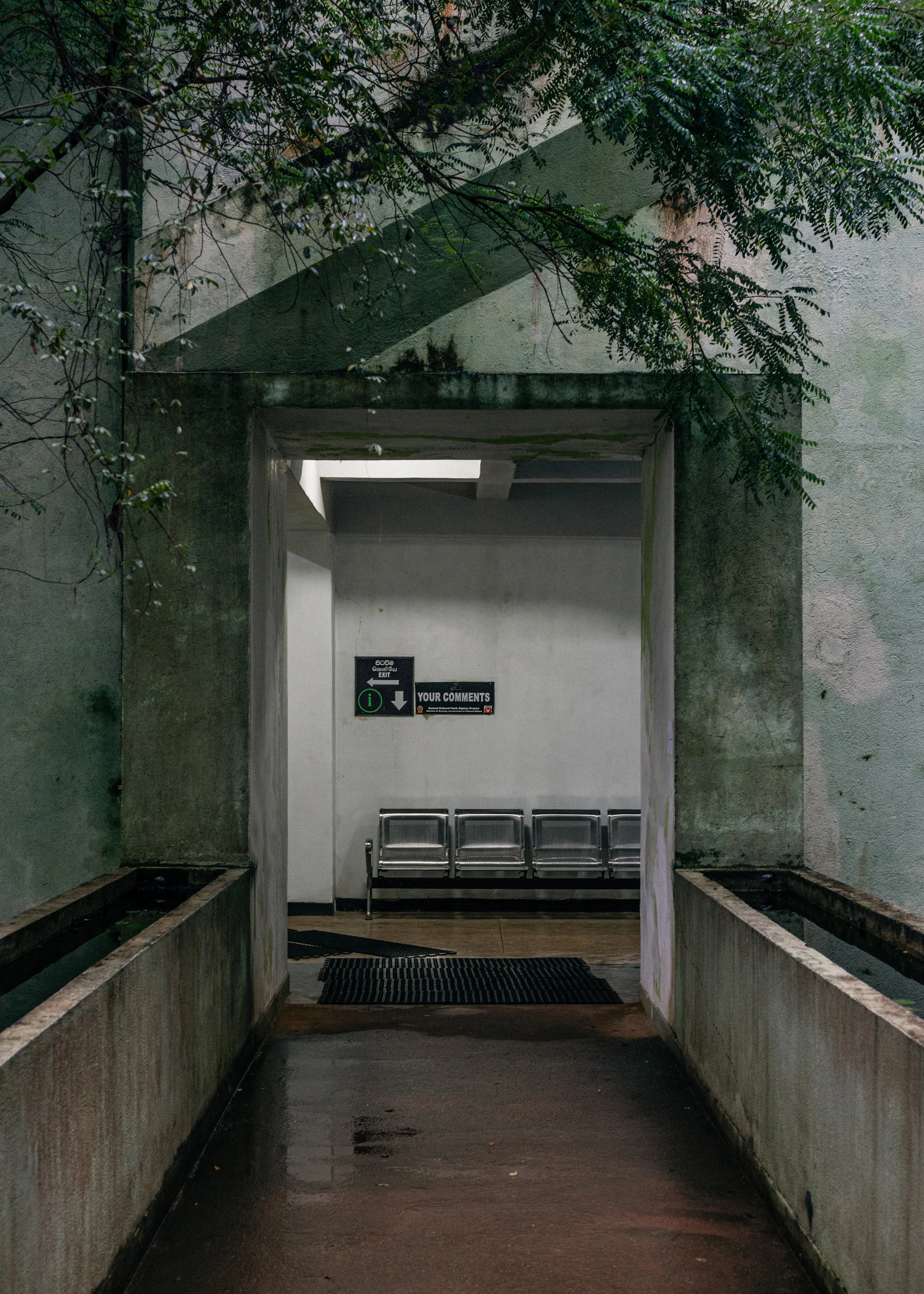 _DSC3136-3 copia.jpg