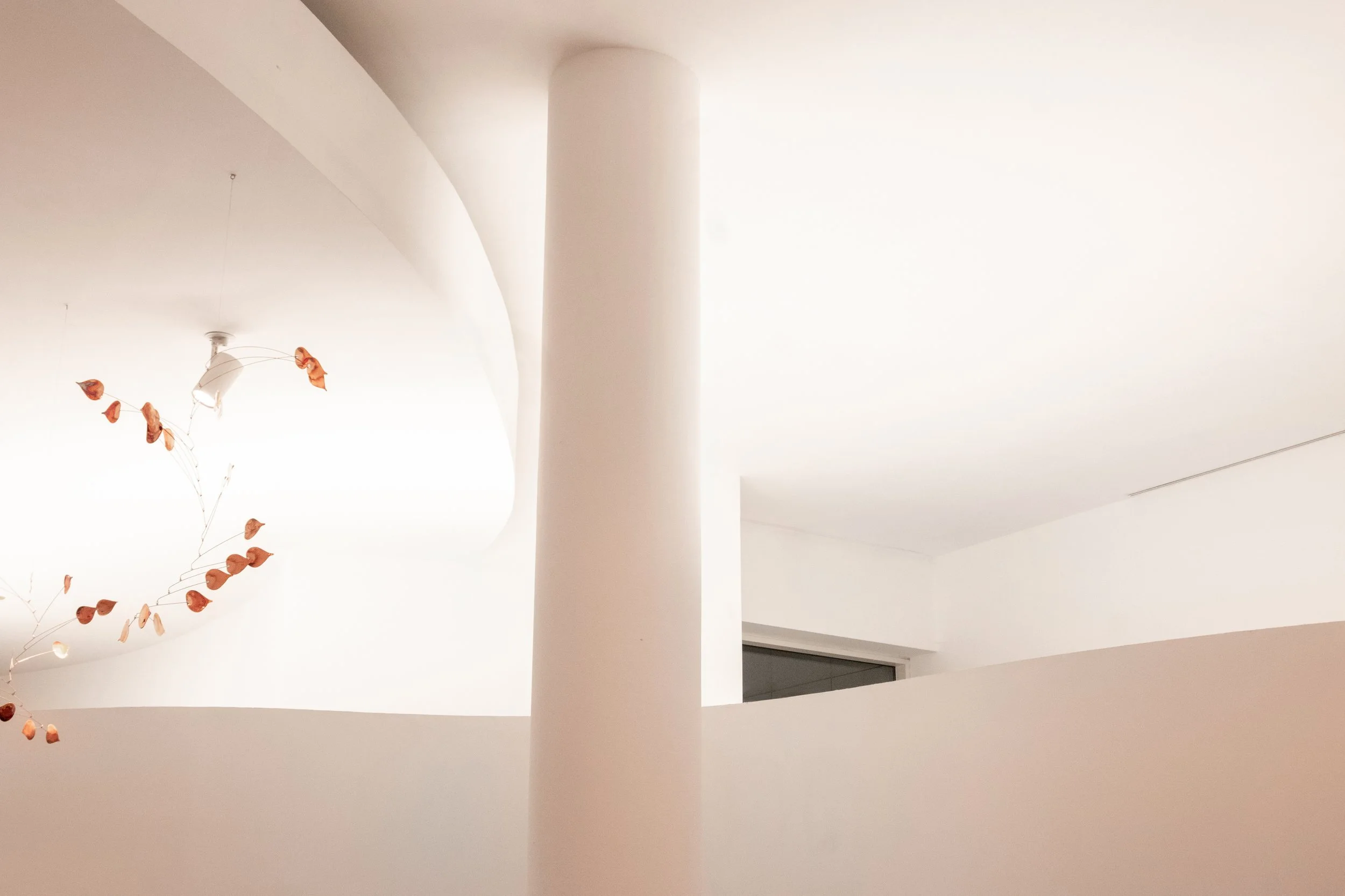 Interni chiari di un museo a Barcellona, con un pilastro che divide lo spazio in modo simmetrico e da un lato una pianta dalle foglie arancioni