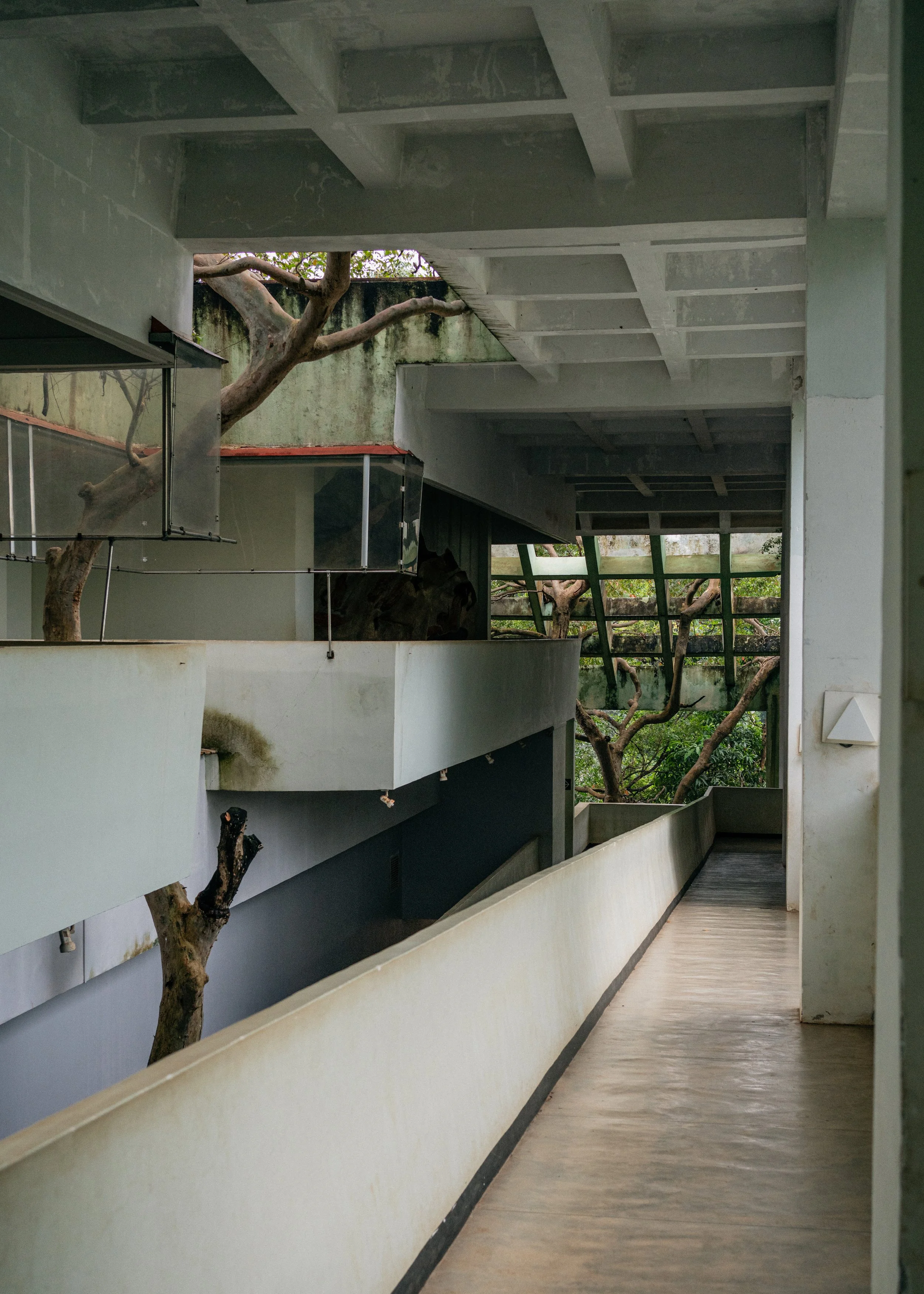 _DSC3106-2 copia.jpg