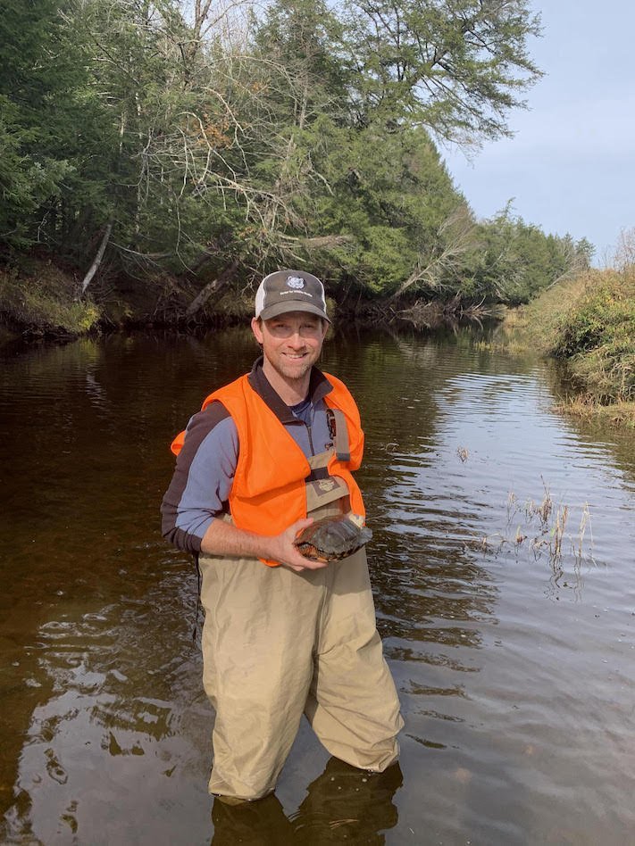 Center for Wildlife Studies President and lead author, Dr. Jack Hopkins, happy to be out in the field on the Maine Wood Turtle Project.