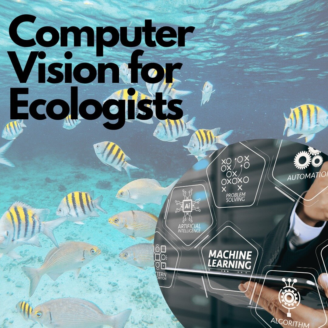 Are you an ecologist seeking to revolutionize your research techniques and gain deeper insights into wildlife behavior and environmental patterns? Look no further than the powerful capabilities of computer vision technology.�

At Center for Wildlife 