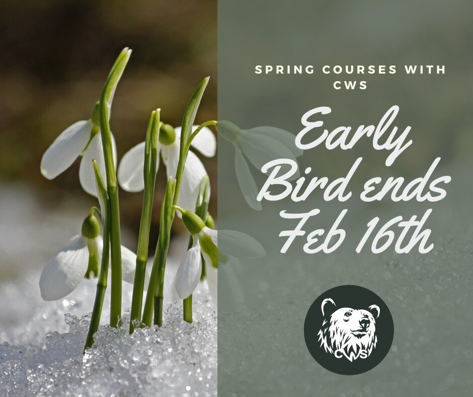 Our courses offer a unique opportunity to deepen your understanding of wildlife conservation practices taught by leading experts in the field. Sign up now to take advantage of early bird registration for our upcoming spring courses!

Easily search an