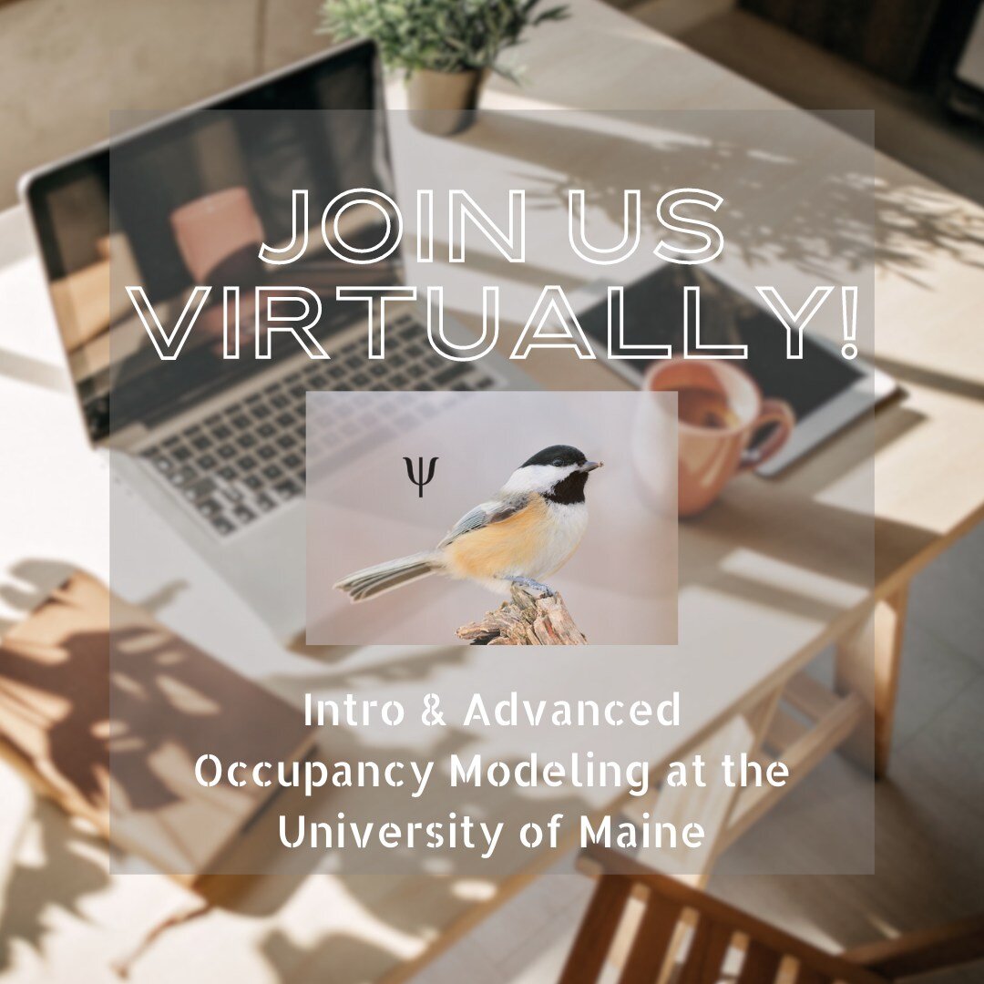 Unable to travel to Maine for our upcoming Occupancy Modeling courses with Dr. Darryl MacKenzie? 
Join us virtually at the University of Maine from the comfort of your own office! You will also have access to all course materials (including lectures)