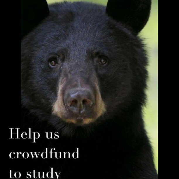 https://www.centerforwildlifestudies.org/crowdfunding-campaign