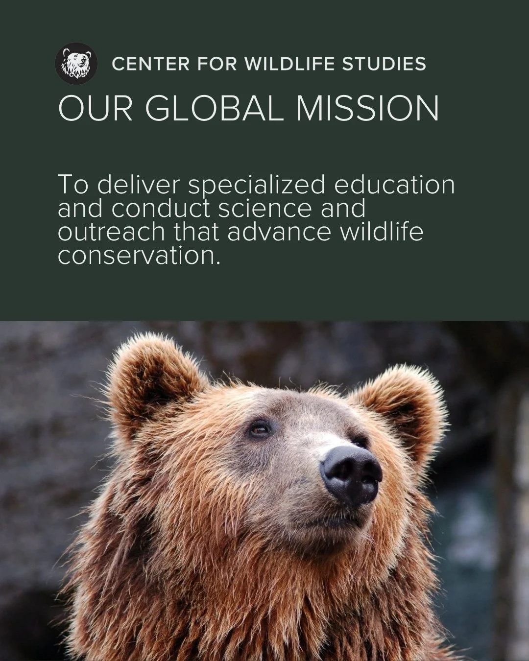 At the Center for Wildlife Studies, we believe in a world where wildlife science and conservation tools are accessible to all, empowering individuals and communities to solve the planet&rsquo;s most urgent environmental challenges. Whether you're dev
