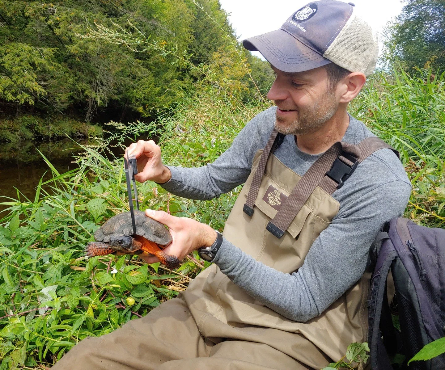 There&rsquo;s a new publication from CWS&rsquo; turtle team! To help combat the illegal turtle trade, the team used chemical analyses to build a statistical model that estimates the probability that a confiscated turtle was poached from the wild. Thi