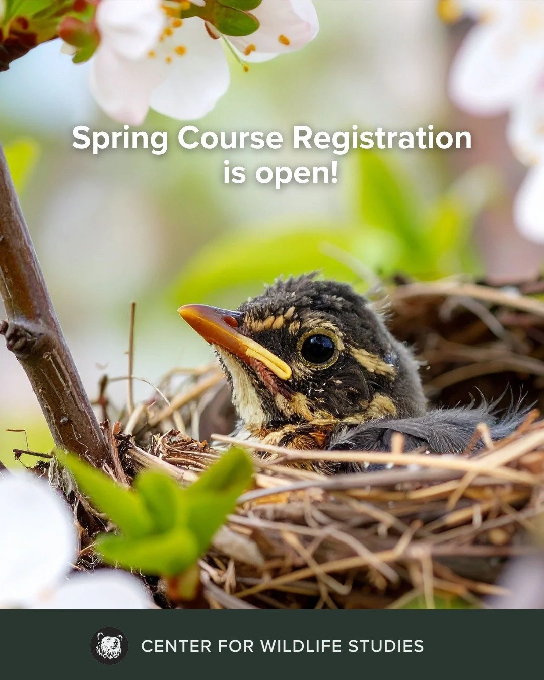Ready to grow your skills in wildlife science and conservation? Most of our spring courses begin on March 2, and now is the perfect time to reserve your spot. Whether you're looking to sharpen your field skills, deepen your understanding of quantitat