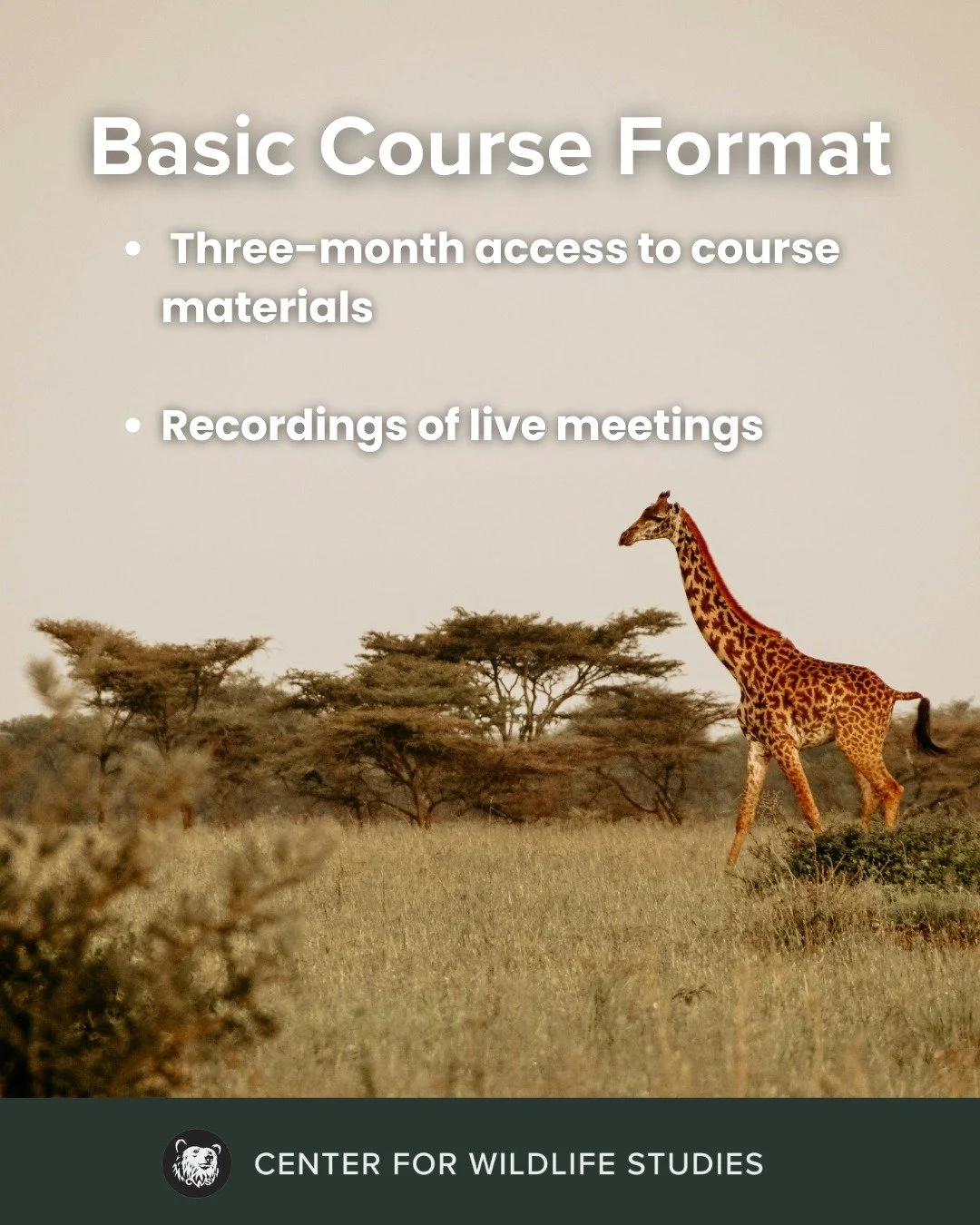 Choosing the right learning experience matters &mdash; that&rsquo;s why we offer three flexible course formats. No matter your path, each format is designed to help you build real-world conservation skills with the Center for Wildlife Studies.
Explor